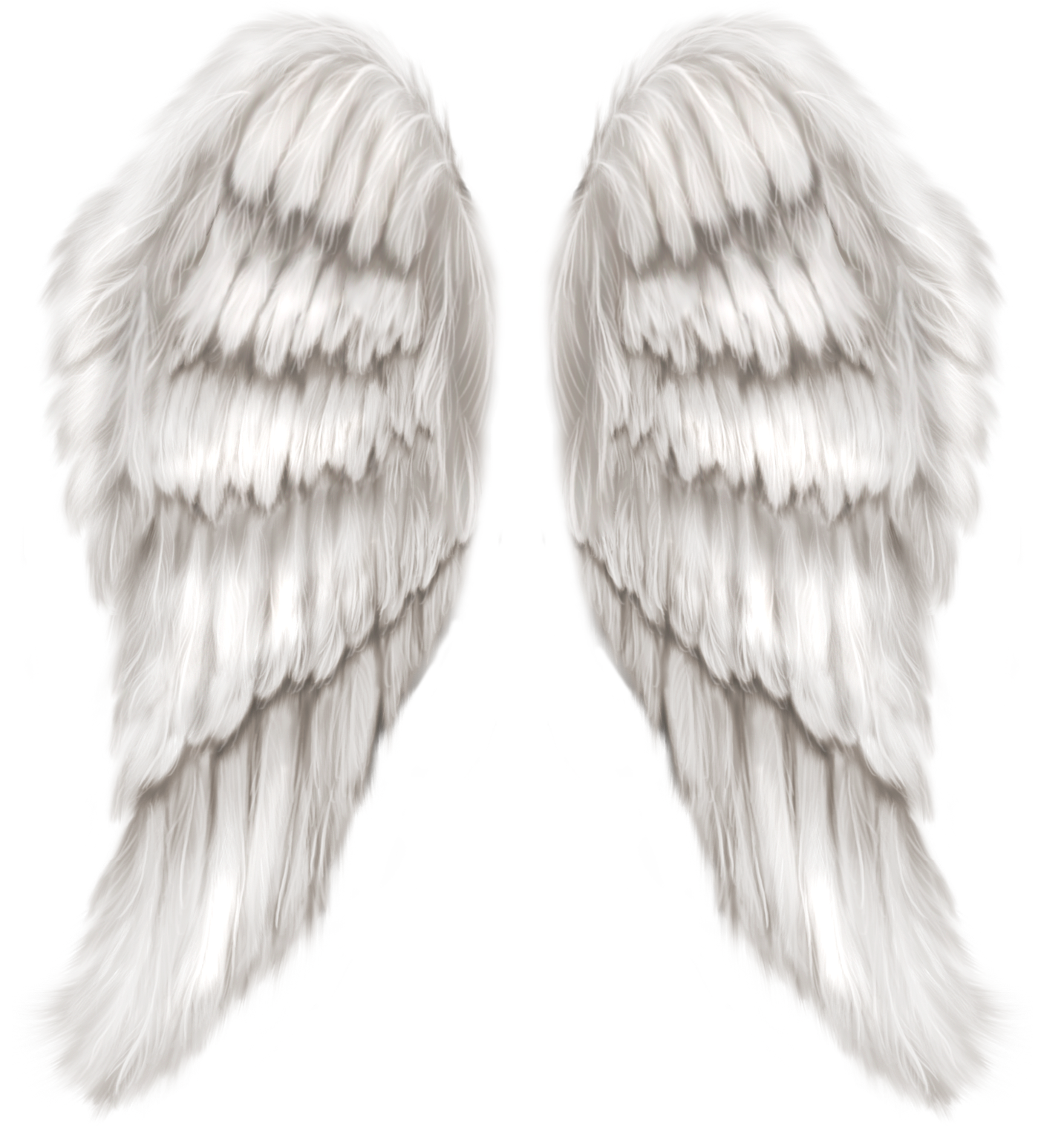 real angel wings clip art