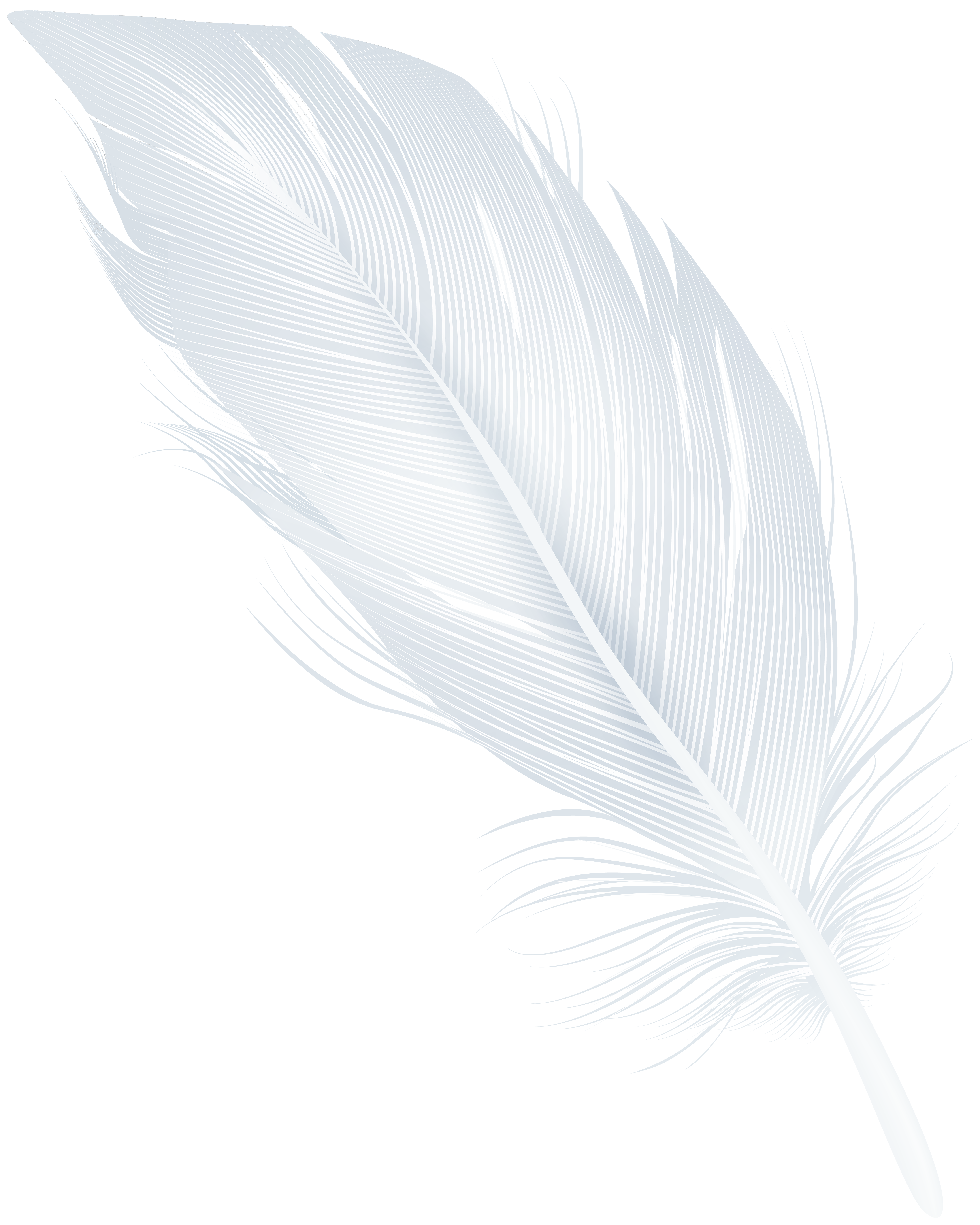 White Feather PNG Clipart | Gallery Yopriceville - High-Quality Images