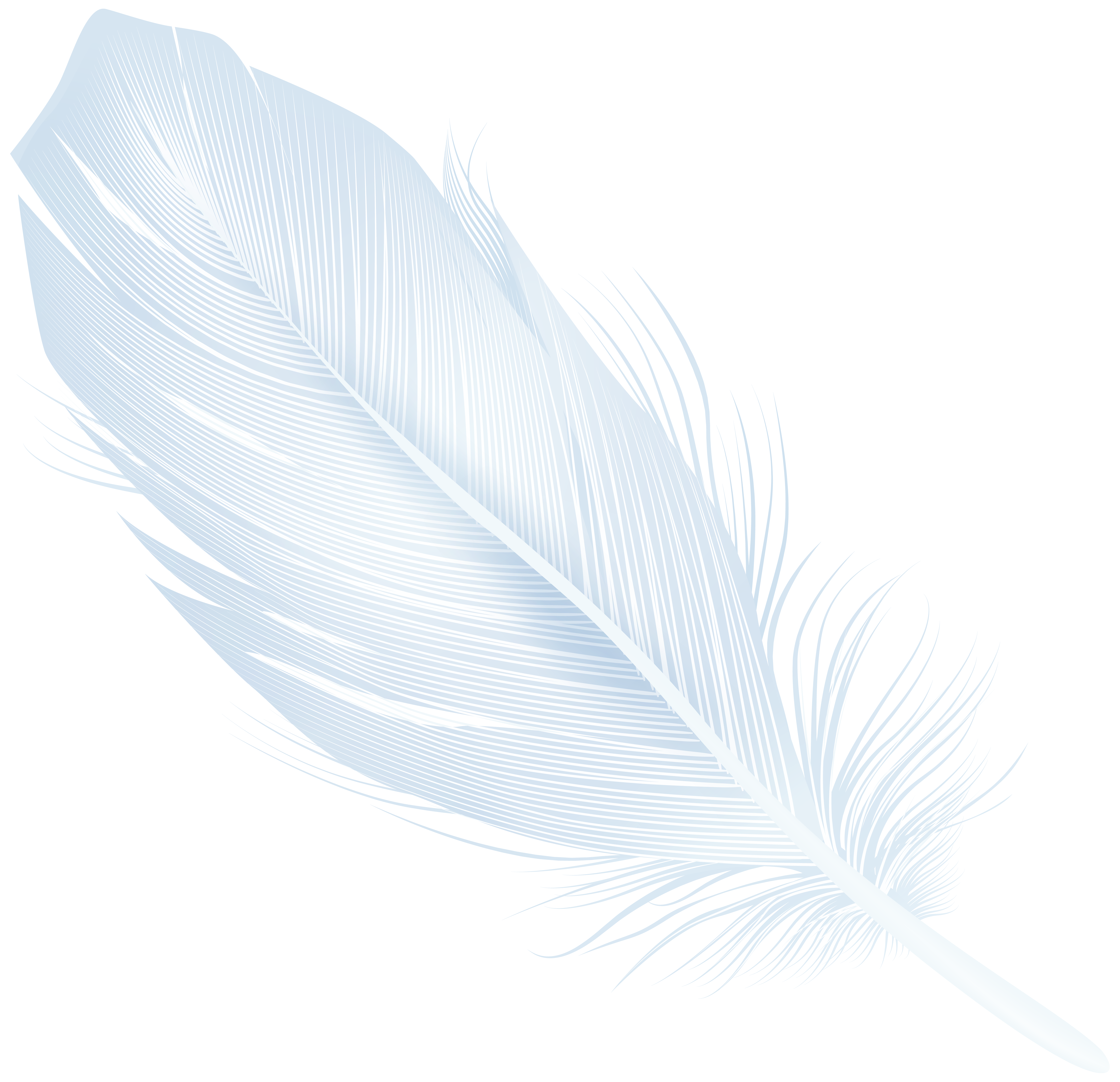 White Feather PNG Transparent Clipart​  Gallery Yopriceville -  High-Quality Free Images and Transparent PNG Clipart