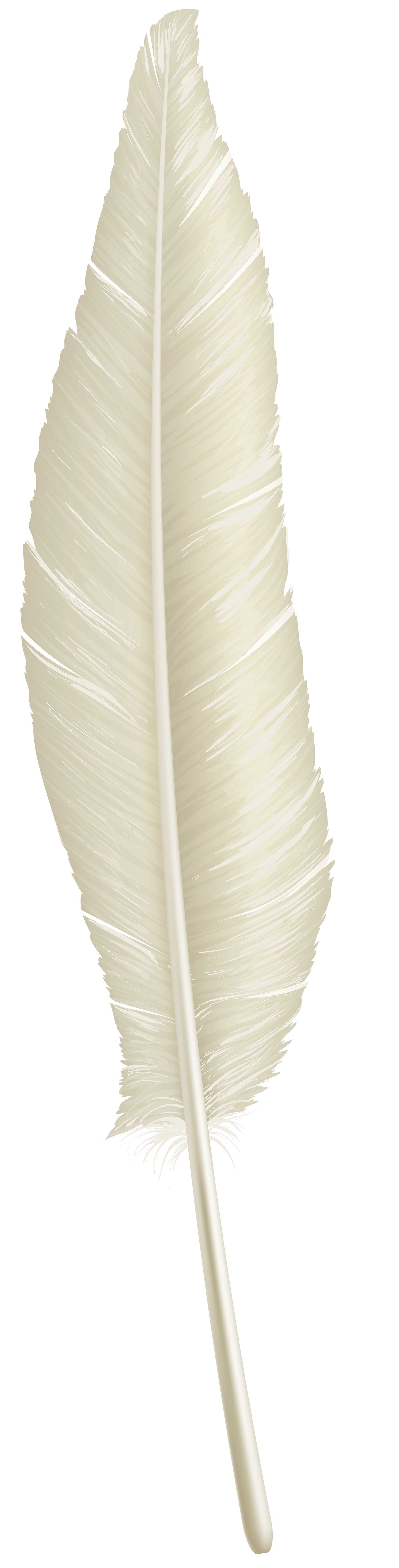 White Feather PNG Clip Art Image​, Gallery Yopriceville - High-Quality  Images and Transparent PNG Free Clipart