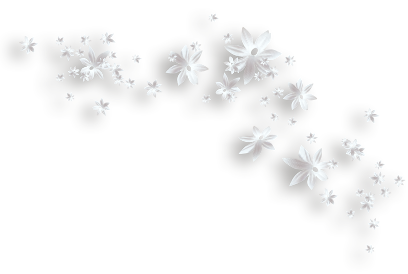 White Flowers Decorative PNG Clipart Gallery Yopriceville High   White Flowers Decorative PNG Clipart 