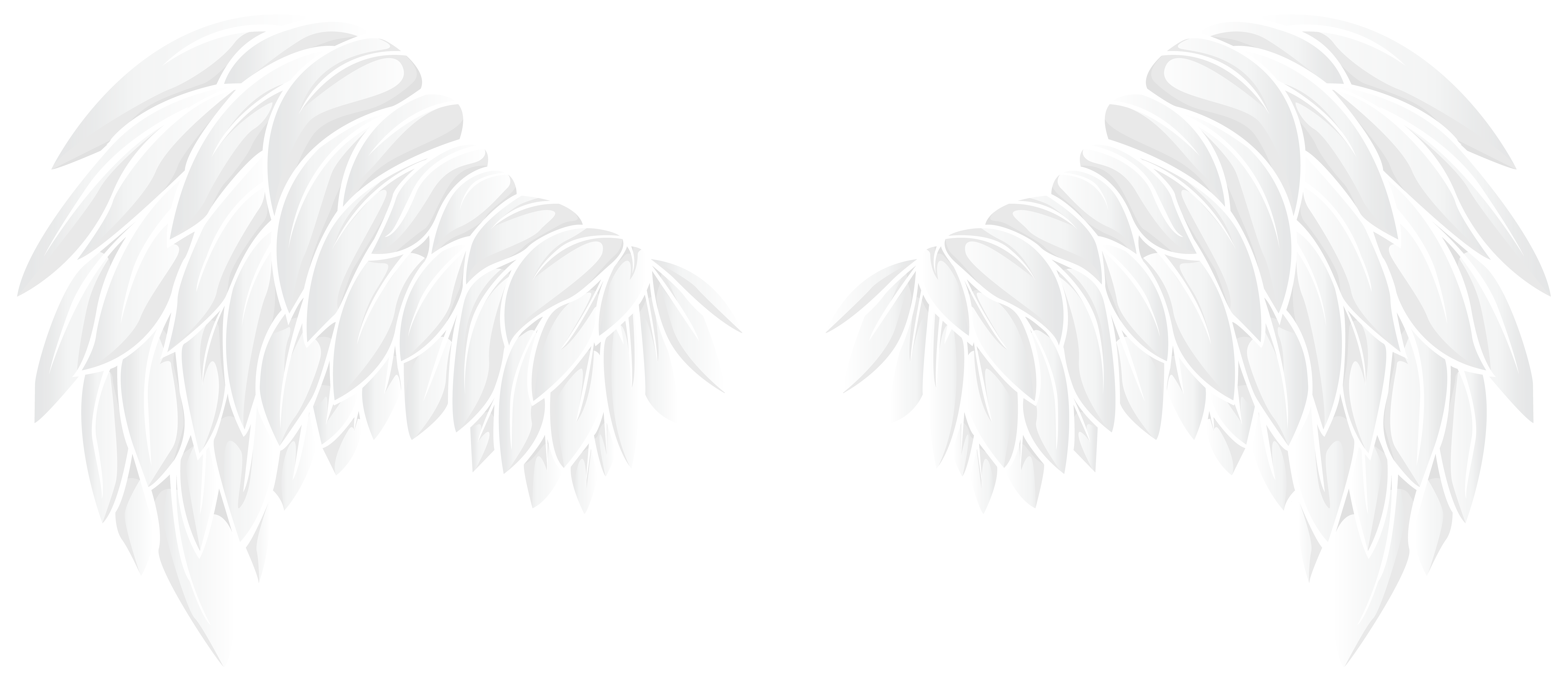 white wings png
