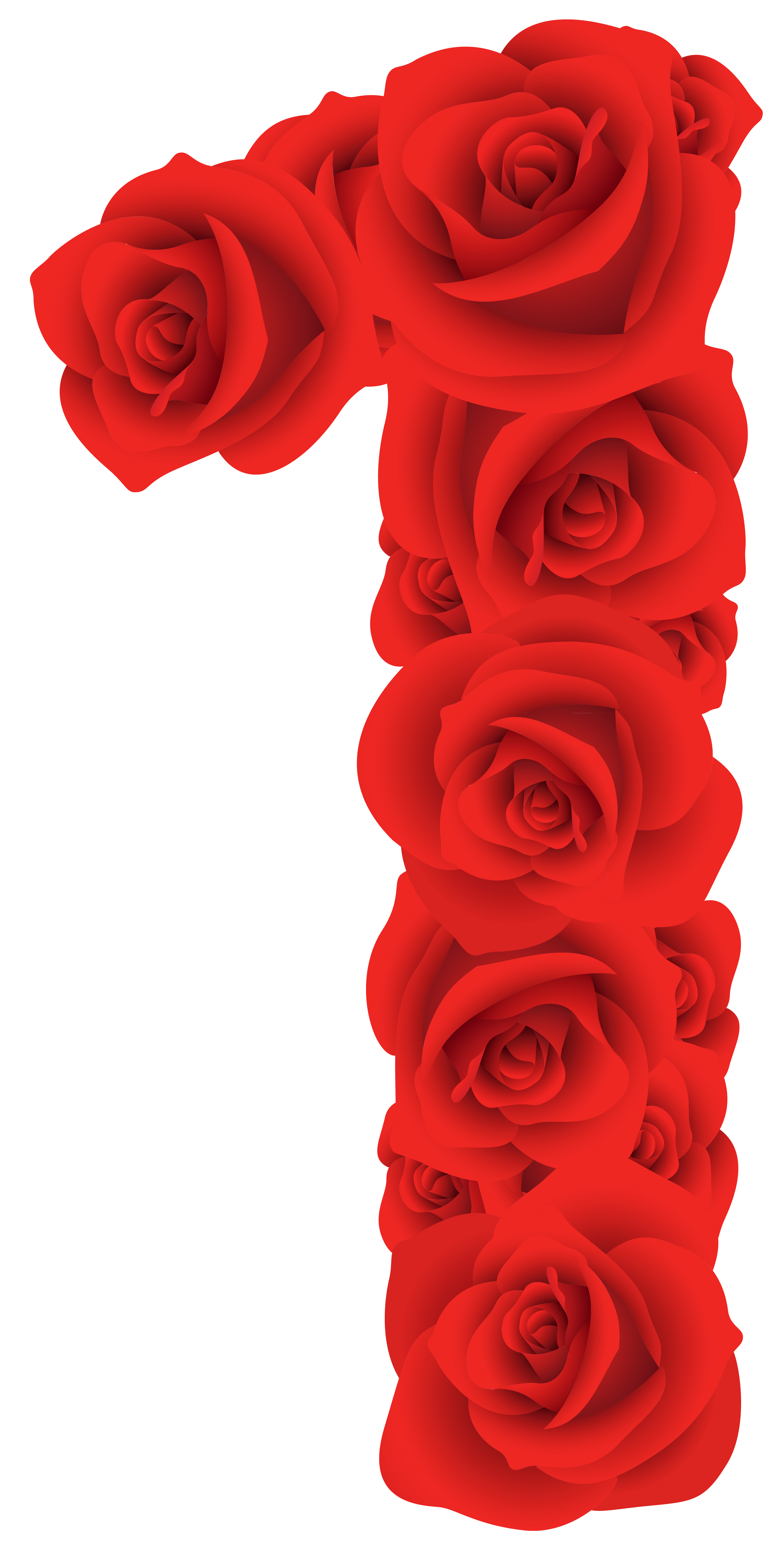 One Red Roses Pictures