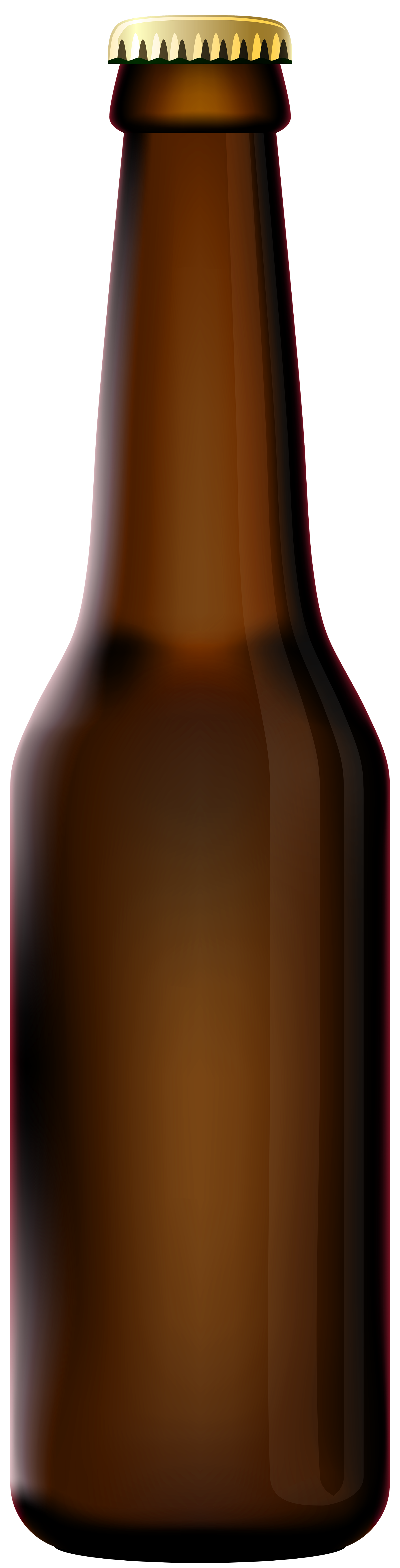 Transparent Budweiser Beer Bottle Png Transparent Bac - vrogue.co