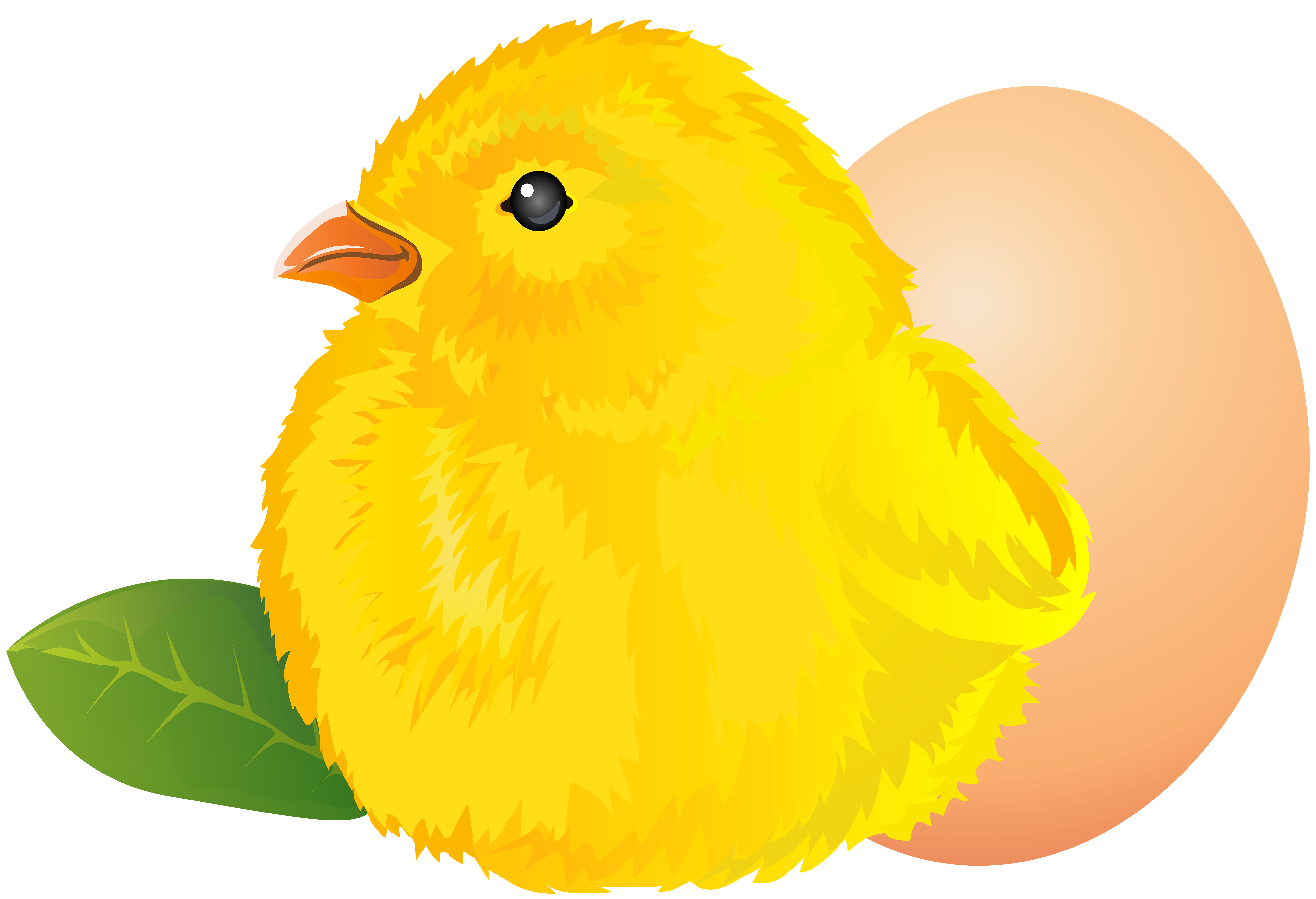 Easter Chicken Clip Art Image | Gallery Yopriceville - High-Quality