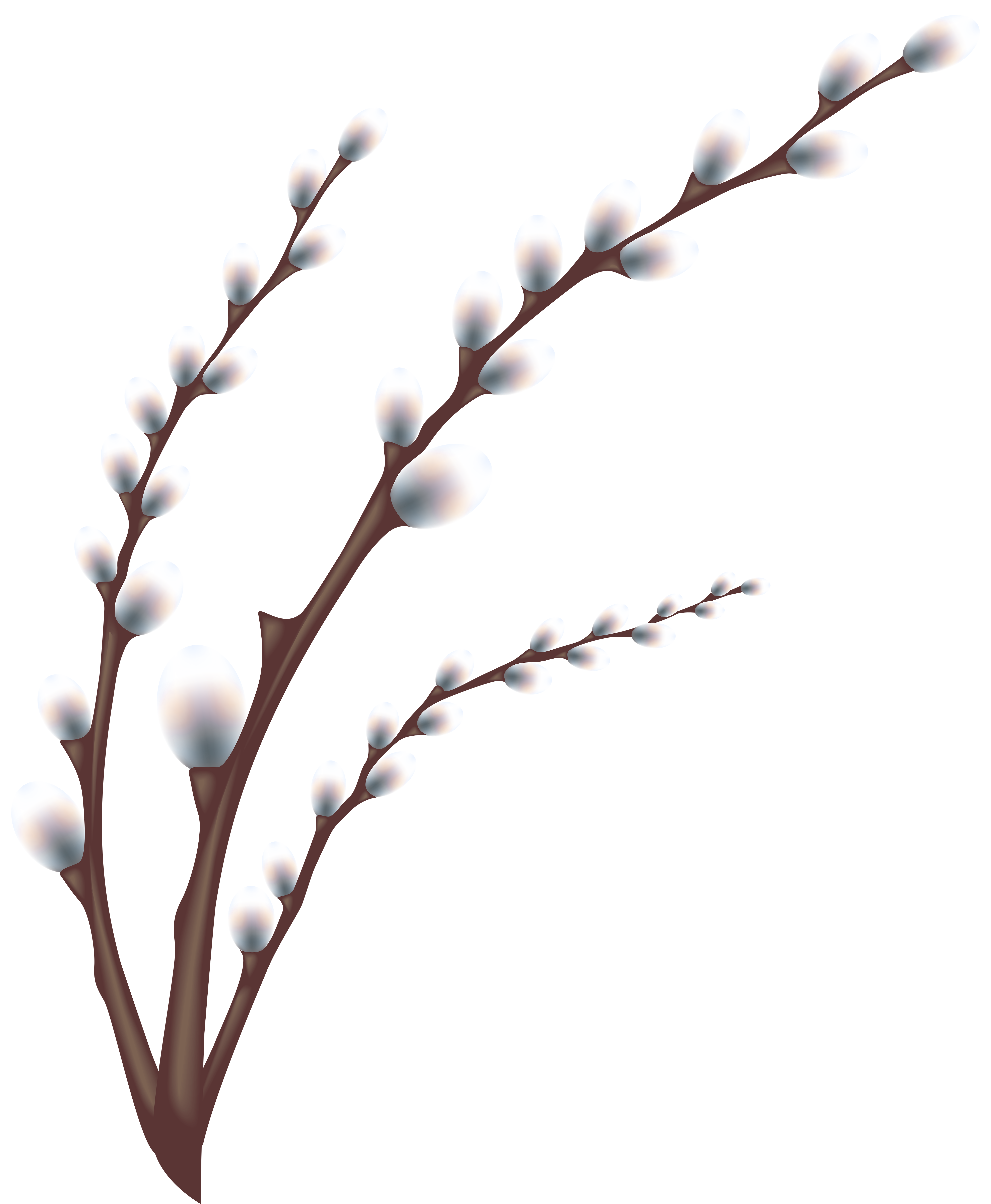 Easter Willow Tree Branch Transparent PNG Clip Art Image ...