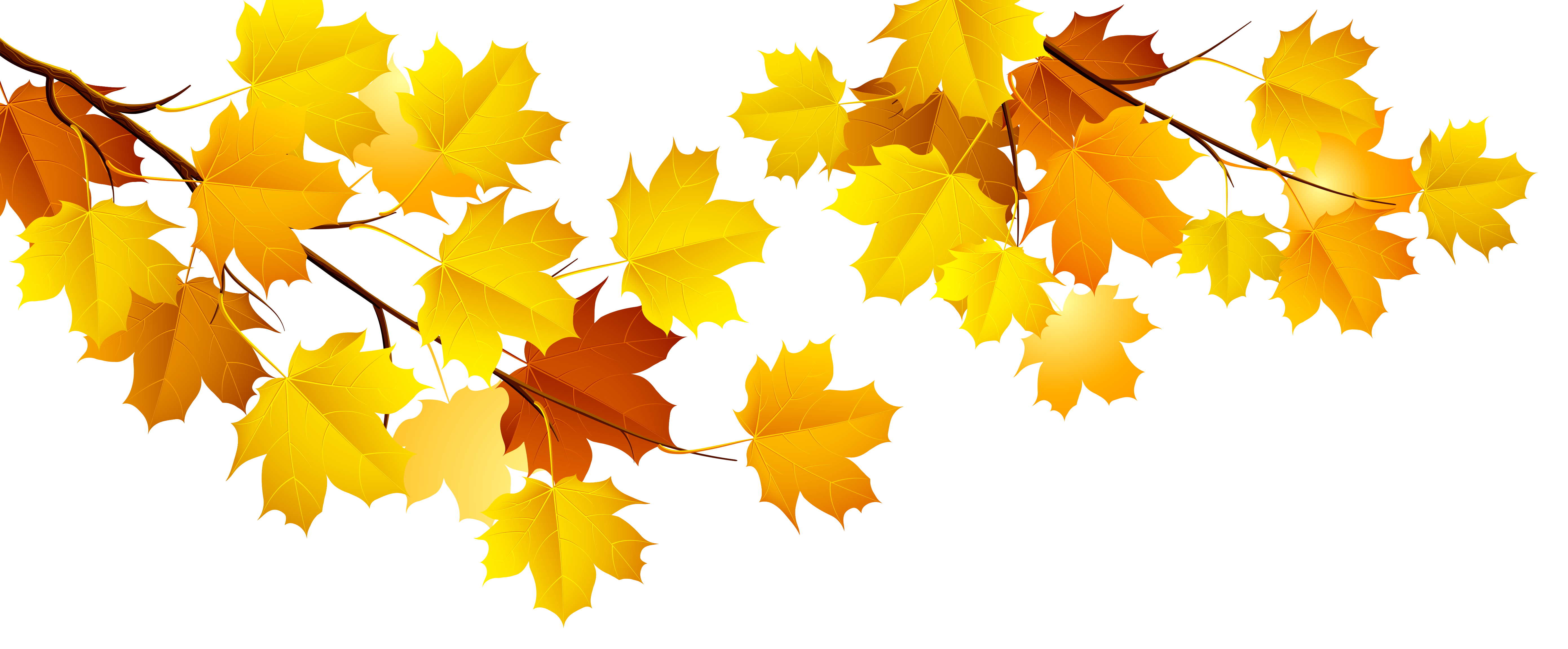 Autumn Branch Png Clipart Gallery Yopriceville High Quality Free