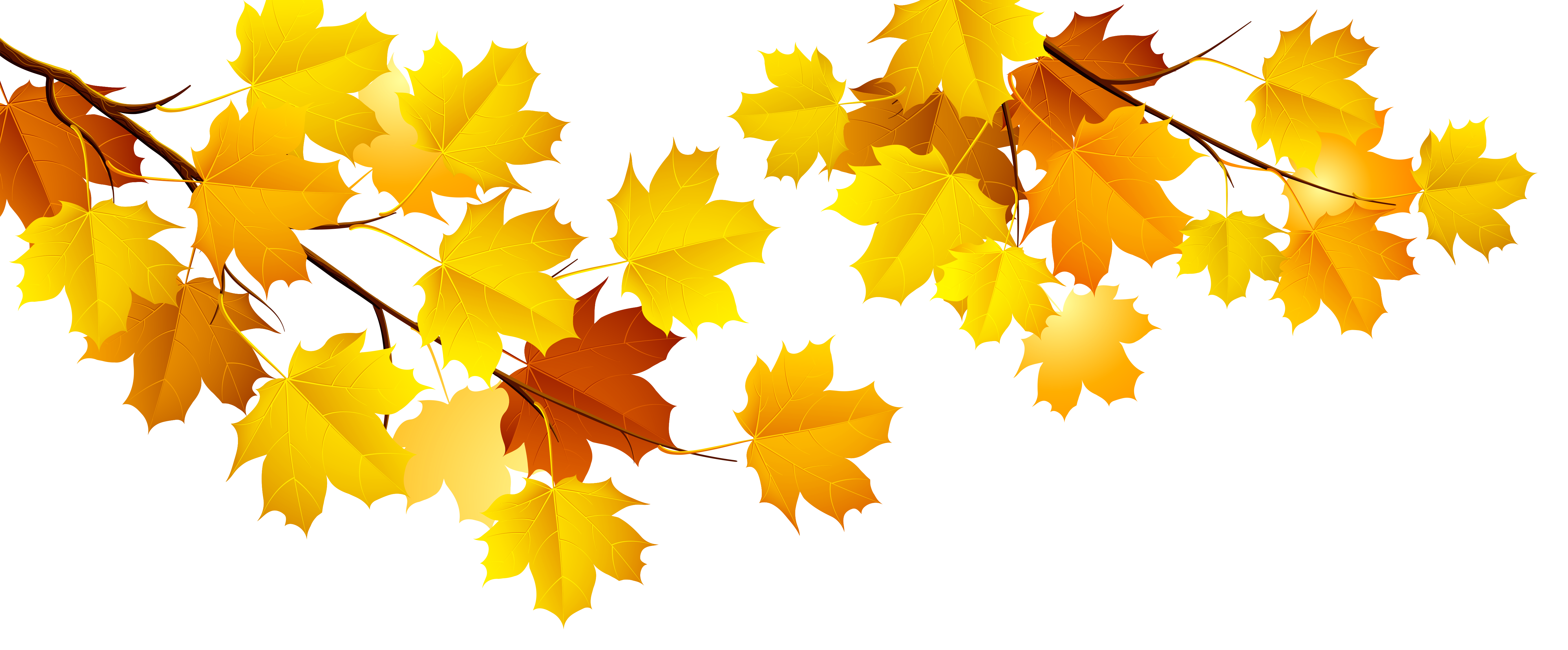 autumn png