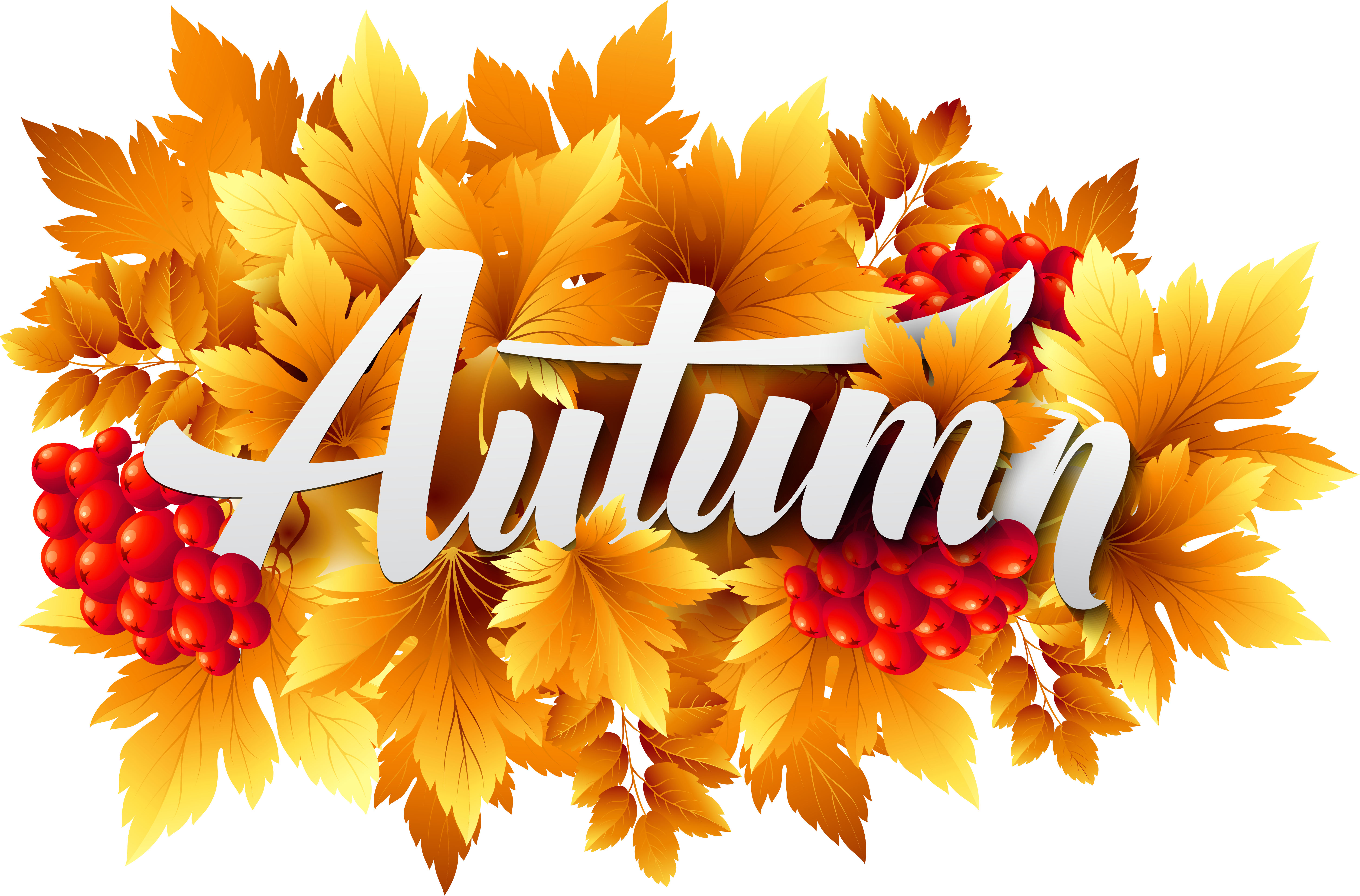 Autumn Decorative Image PNG Clipart | Gallery Yopriceville ...