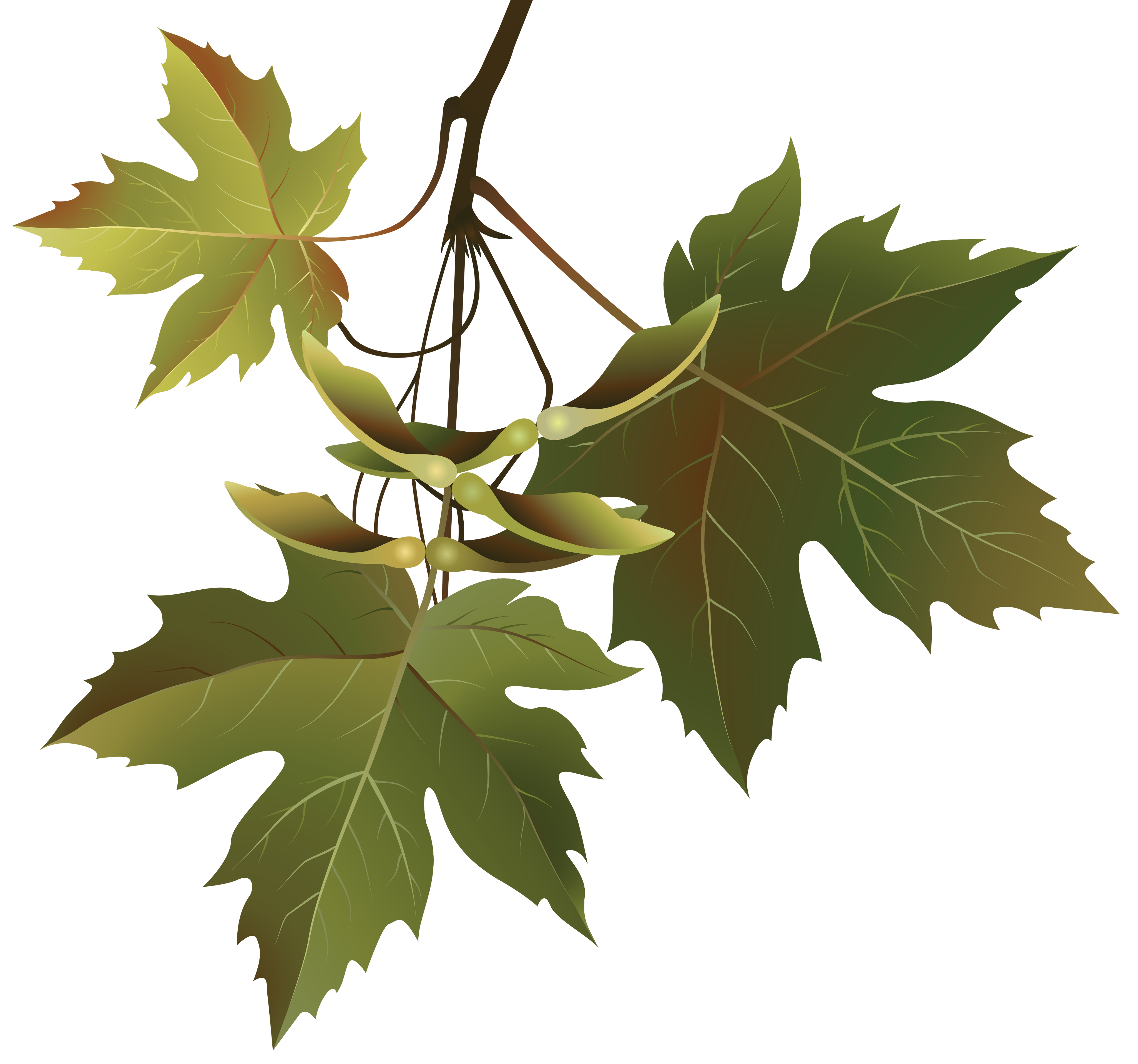 Autumn Leaves Branch PNG Clipart Image | Gallery ...