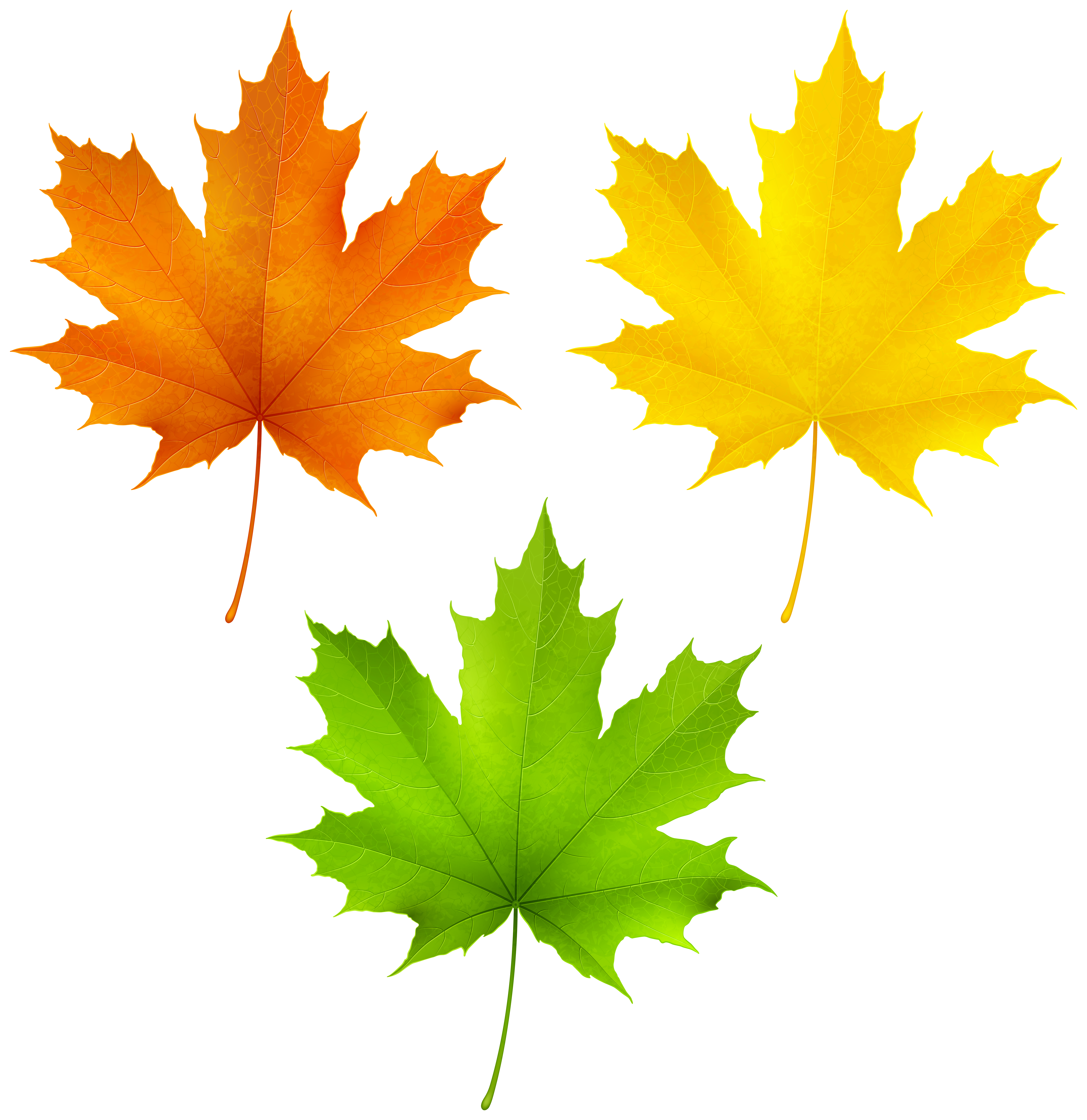 Autumn Leaves Png Clipart Gallery Yopriceville High Quality Images And Transparent Png Free Clipart