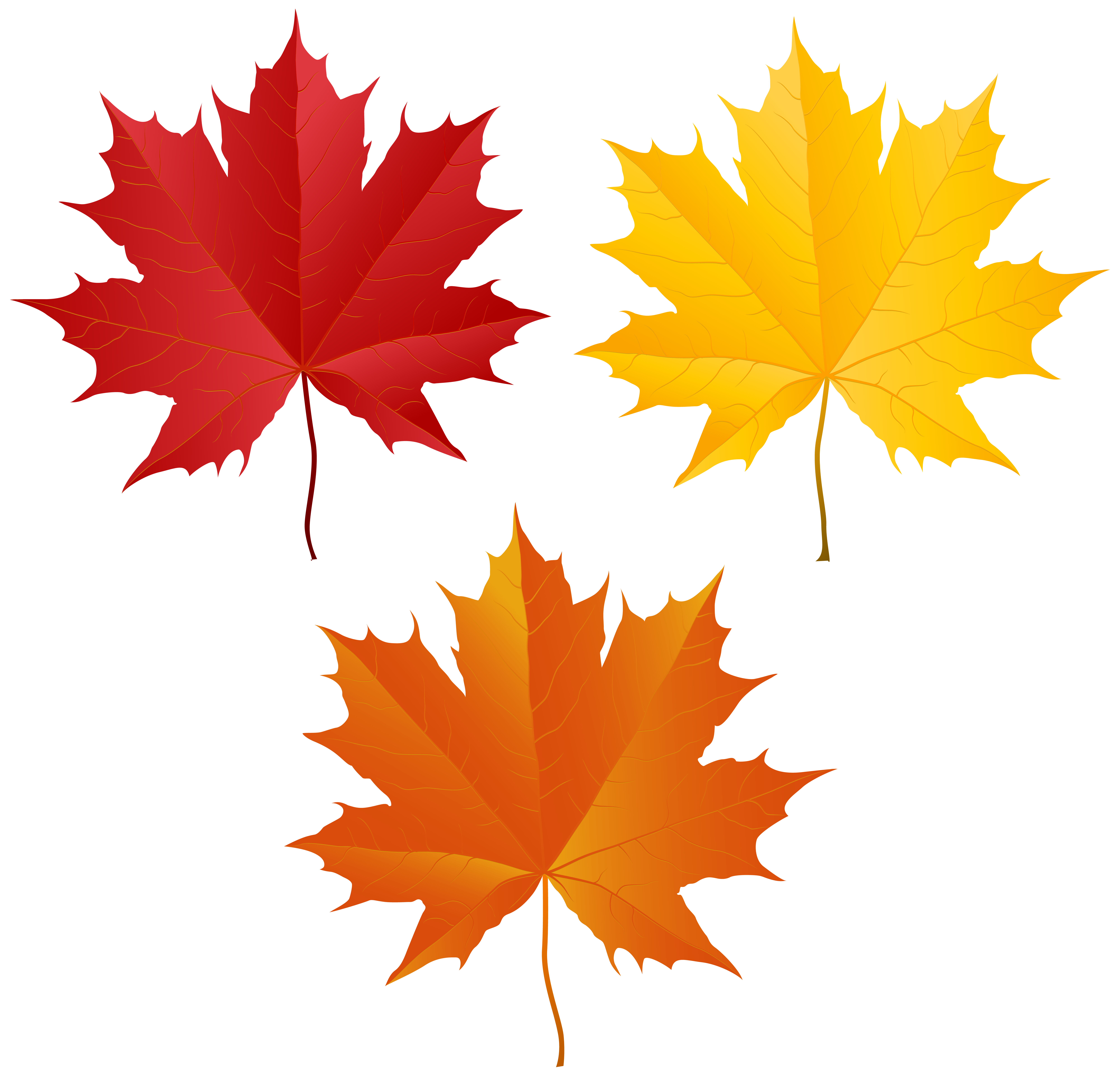 Autumn Leaves PNG Transparent Clipart​ | Gallery Yopriceville -  High-Quality Free Images and Transparent PNG Clipart