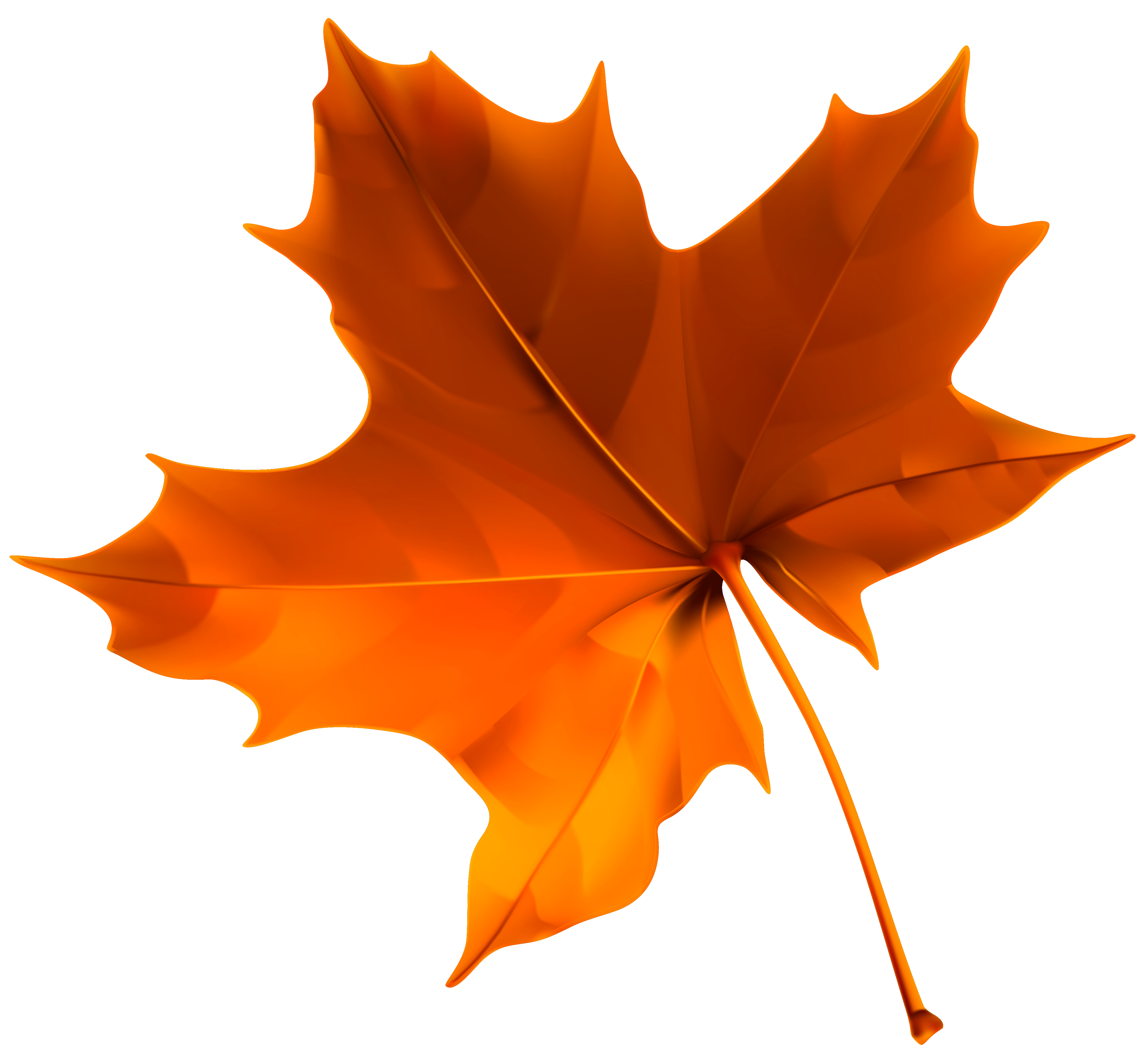 Autumn Red Leaf PNG Clipart Image​