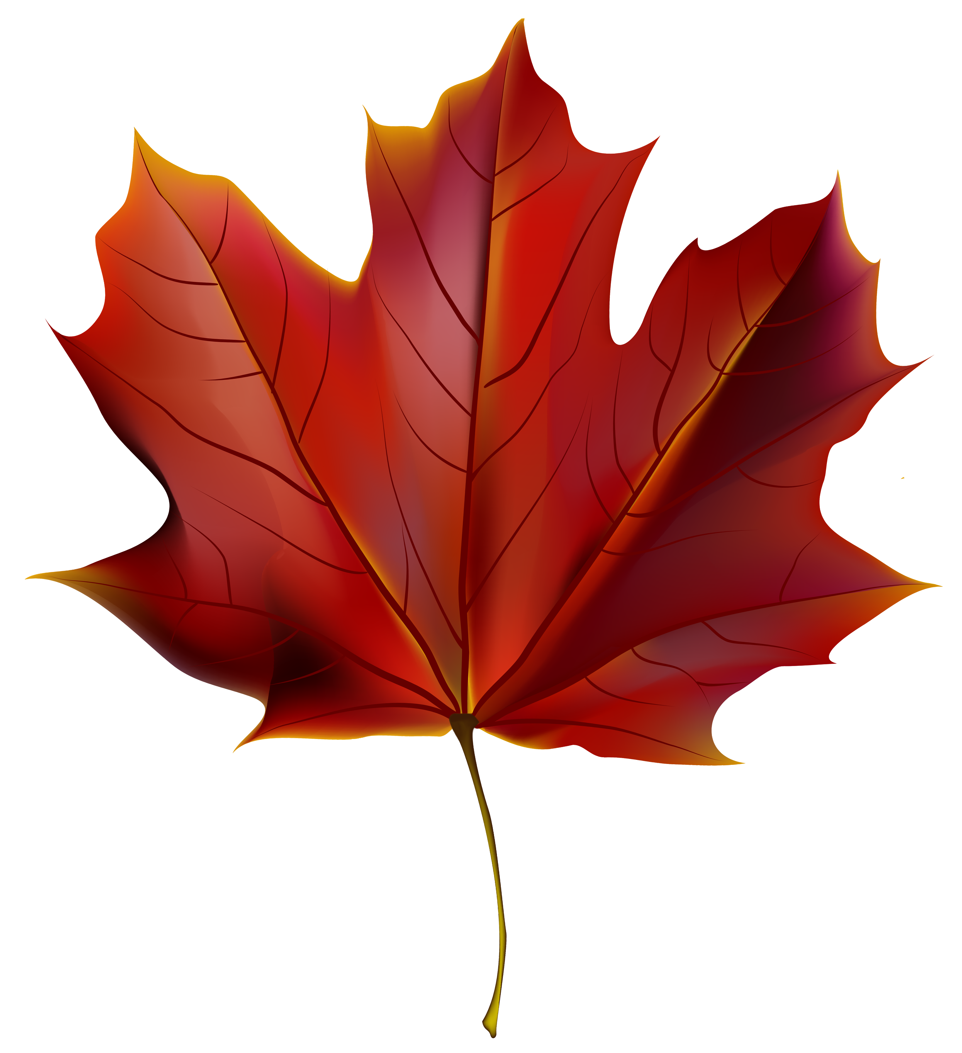 Beautiful Red Autumn Leaf PNG Clipart Image​