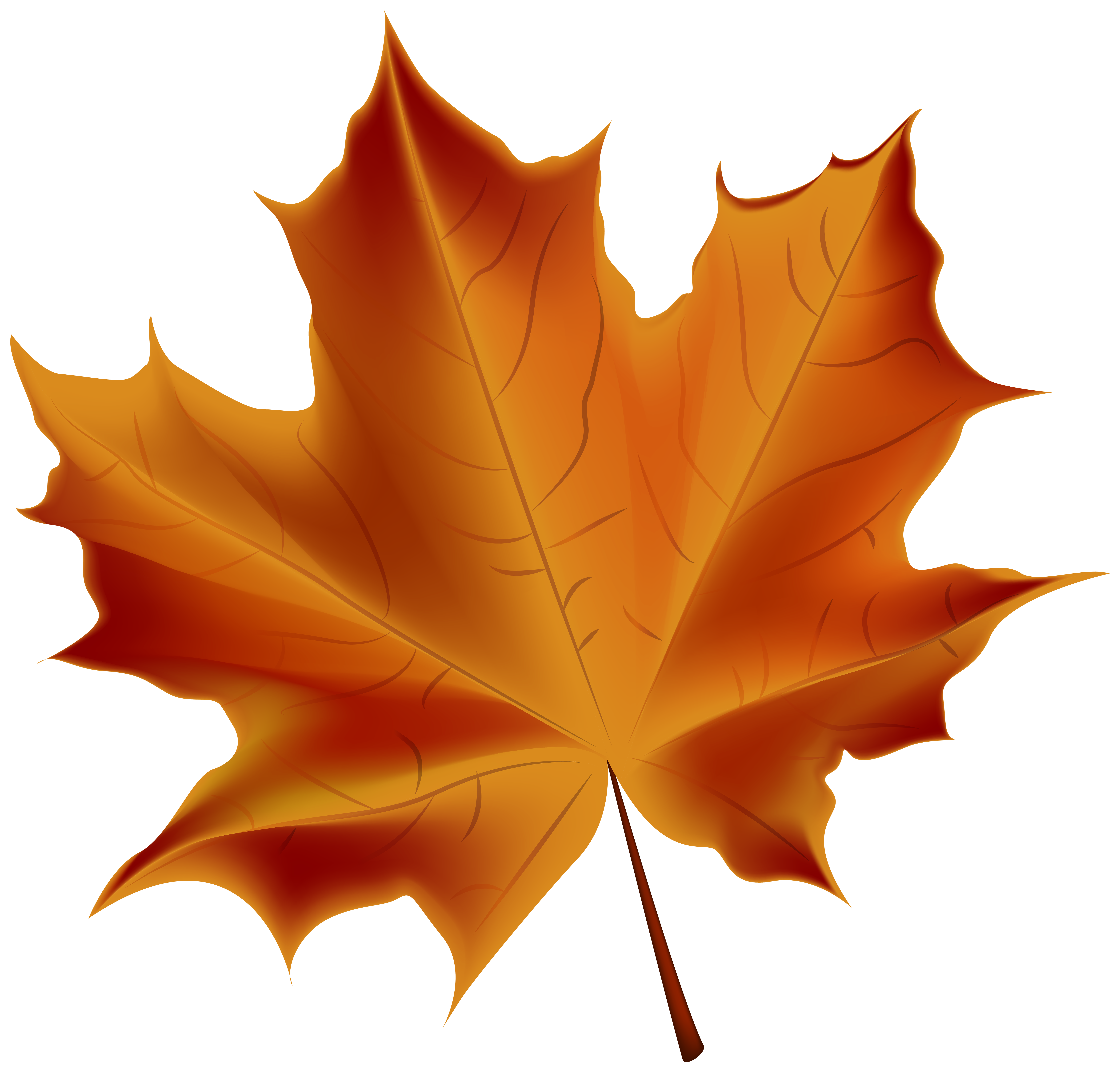 Beautiful Red Autumn Leaf Transparent PNG Clip Art Image ...