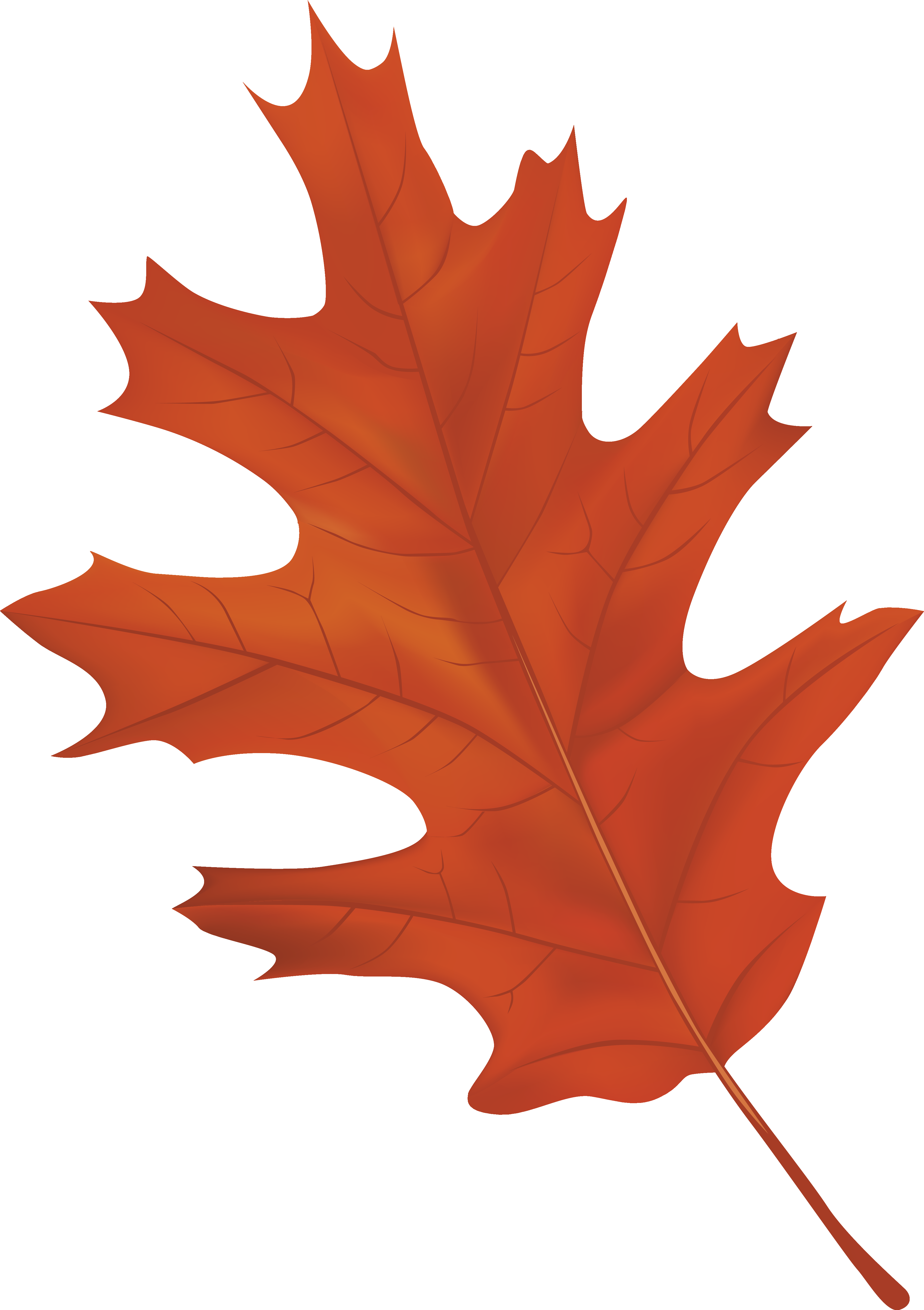 brown leaf clip art