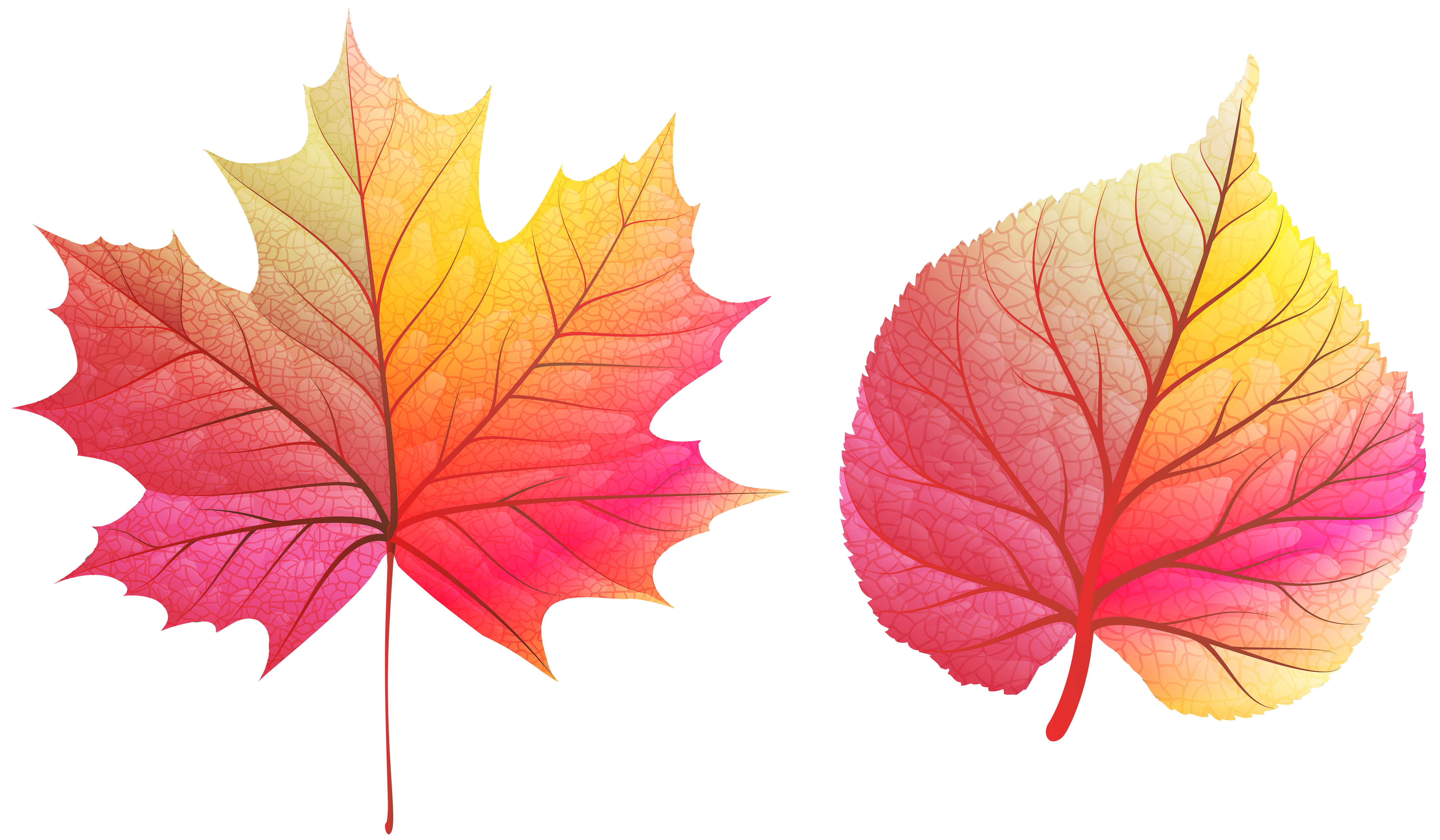 Colorful Autumn Leaves PNG Clip Art Image | Gallery ...