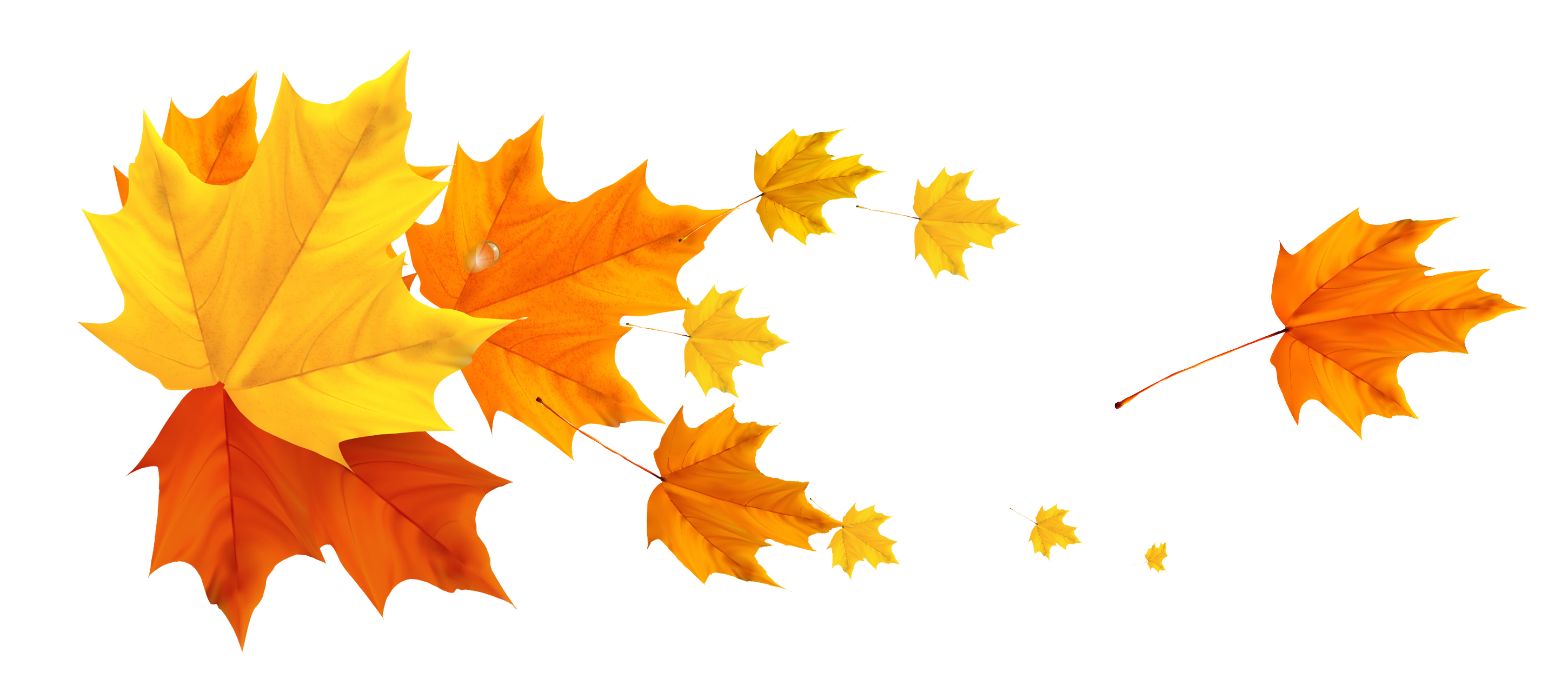 Deco Fall Leafs PNG Clipart Picture | Gallery Yopriceville - High ...