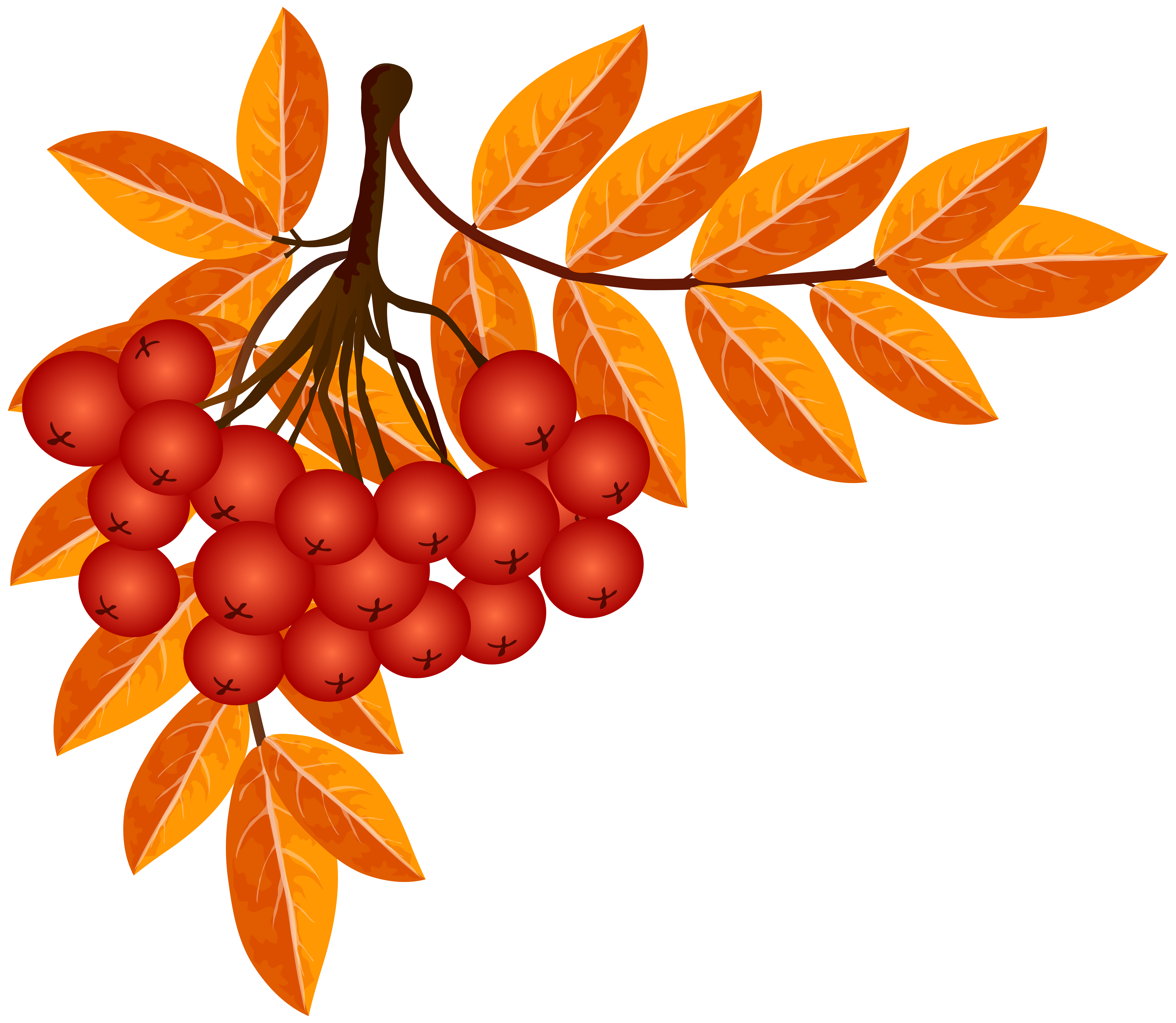fall decoration png clip art image gallery yopriceville fall clip art images