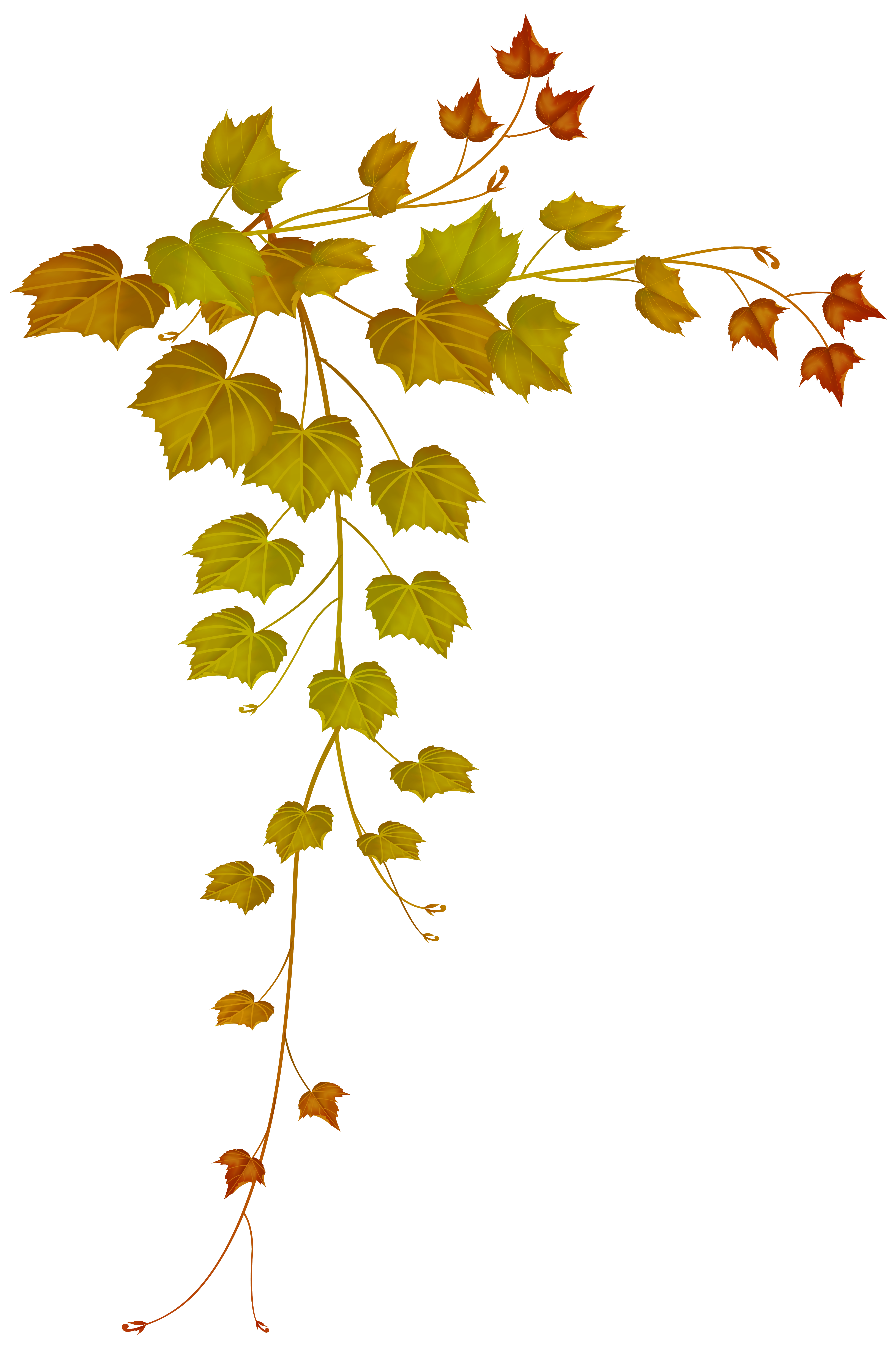 Fall Decorative Leaves PNG Image | Gallery Yopriceville - High-Quality