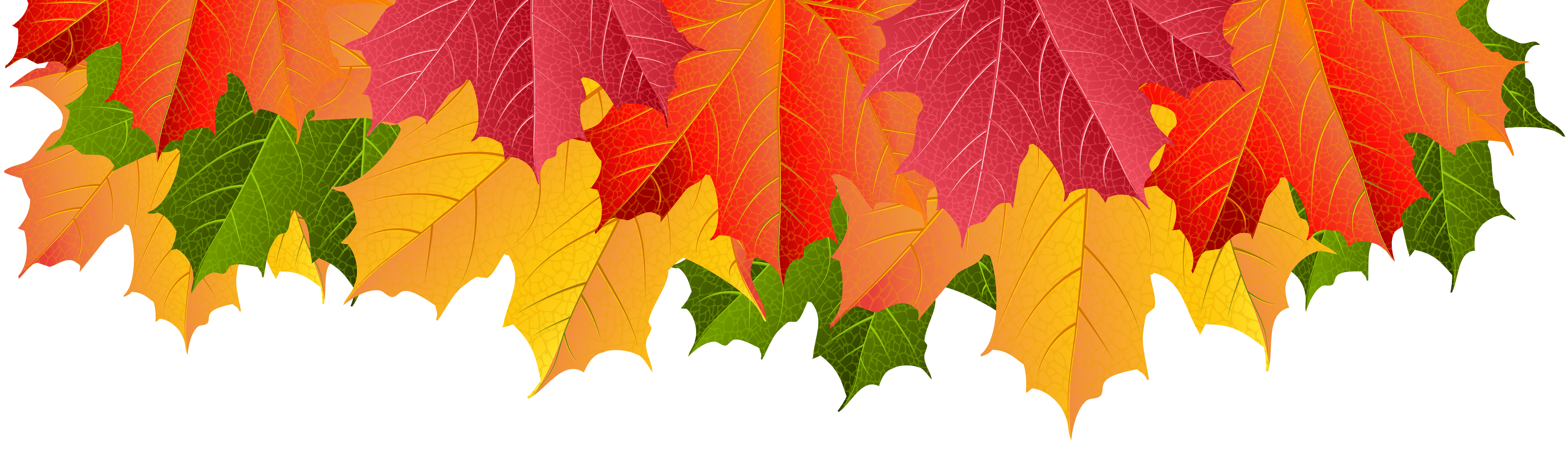 Maple Leaf Green PNG Clip Art Image​ Gallery Yopriceville - High-Quality  Free Images and Transparent PNG Clipart 