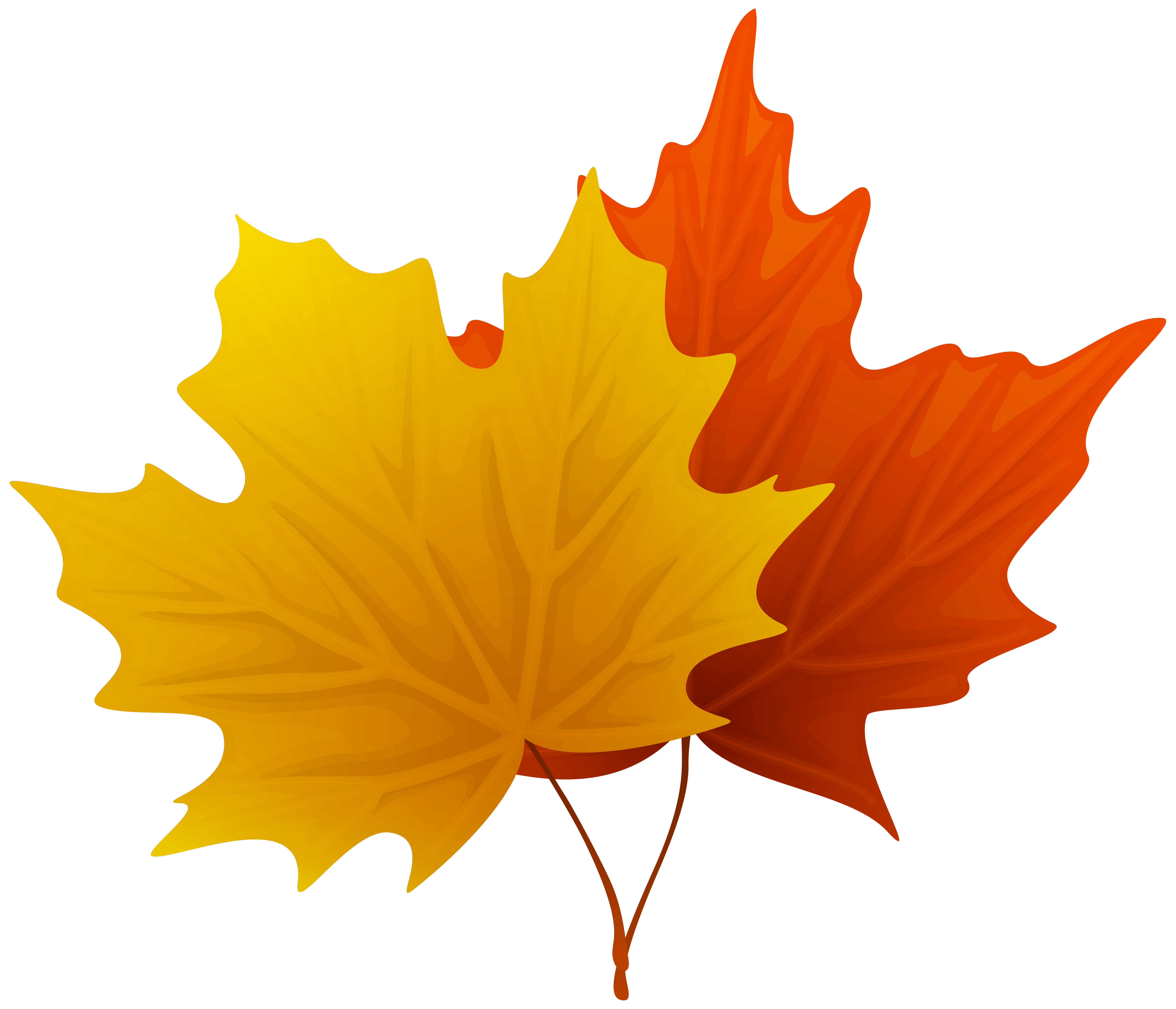 Fall Maple Leaves PNG Decorative Clipart Image | Gallery ...