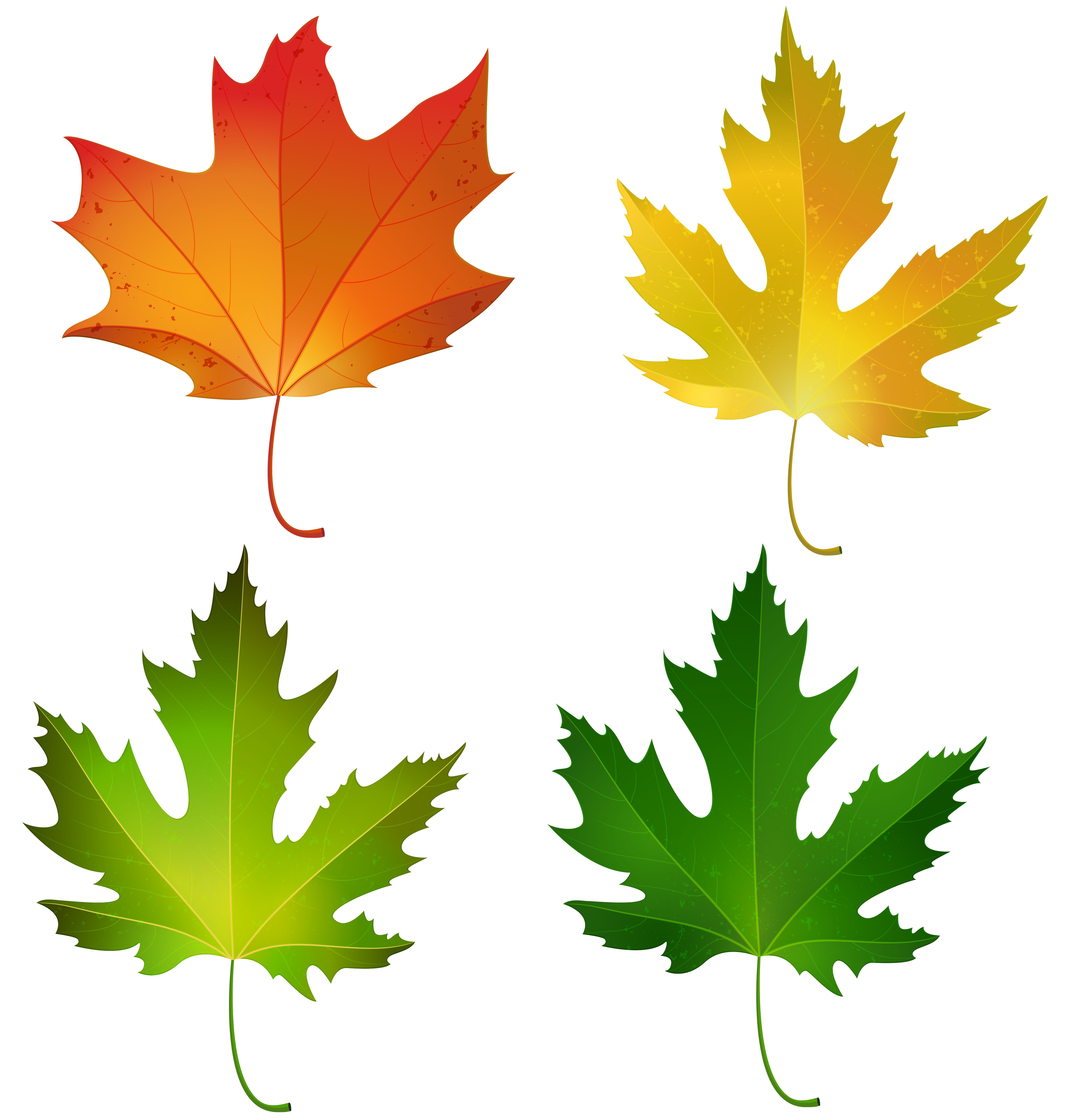 Fall Maple Leaves Set Png Decorative Clipart Image Gallery Yopriceville High Quality Images And Transparent Png Free Clipart