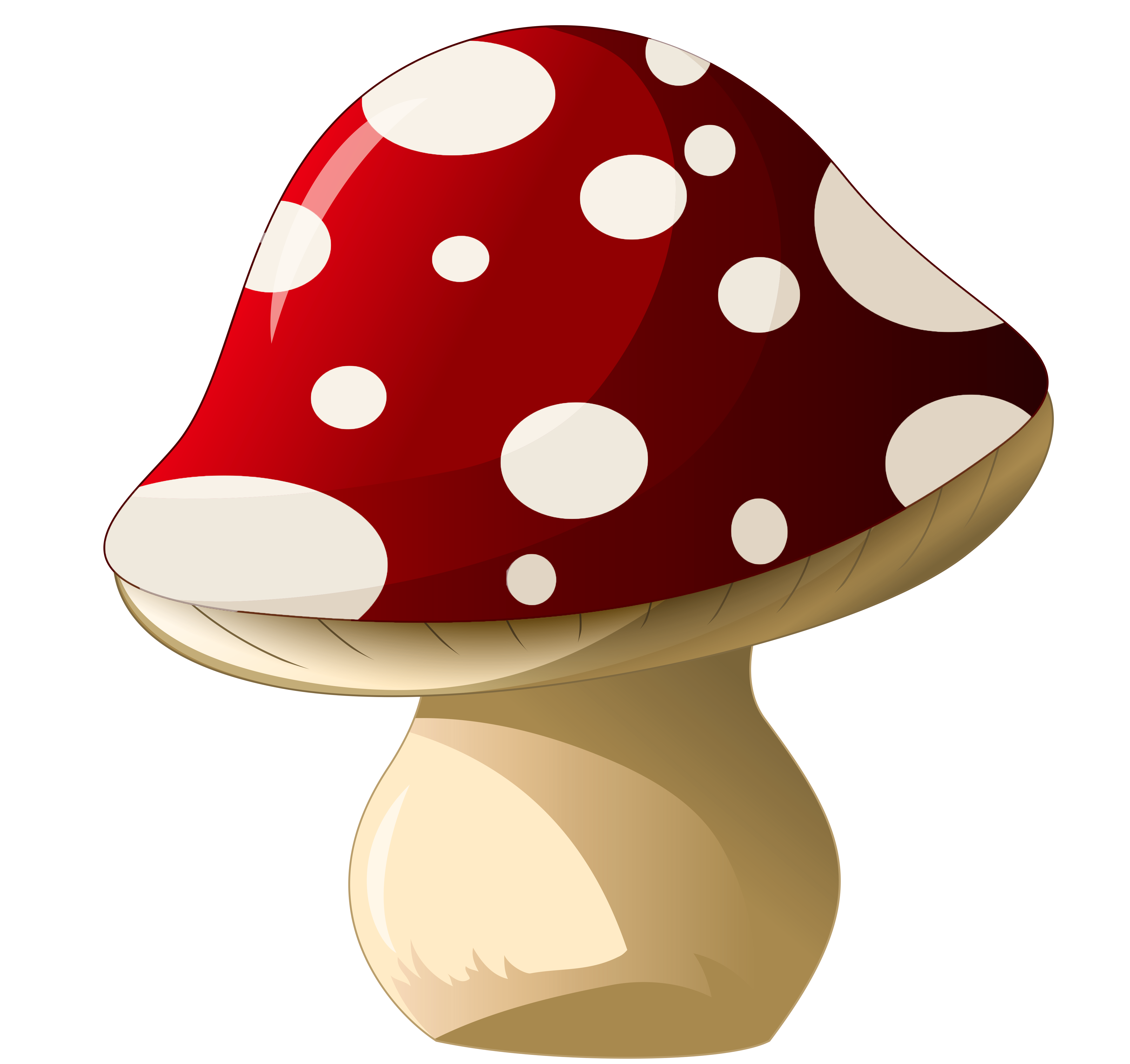 Mushroom PNG Clipart Picture  Gallery Yopriceville - High 