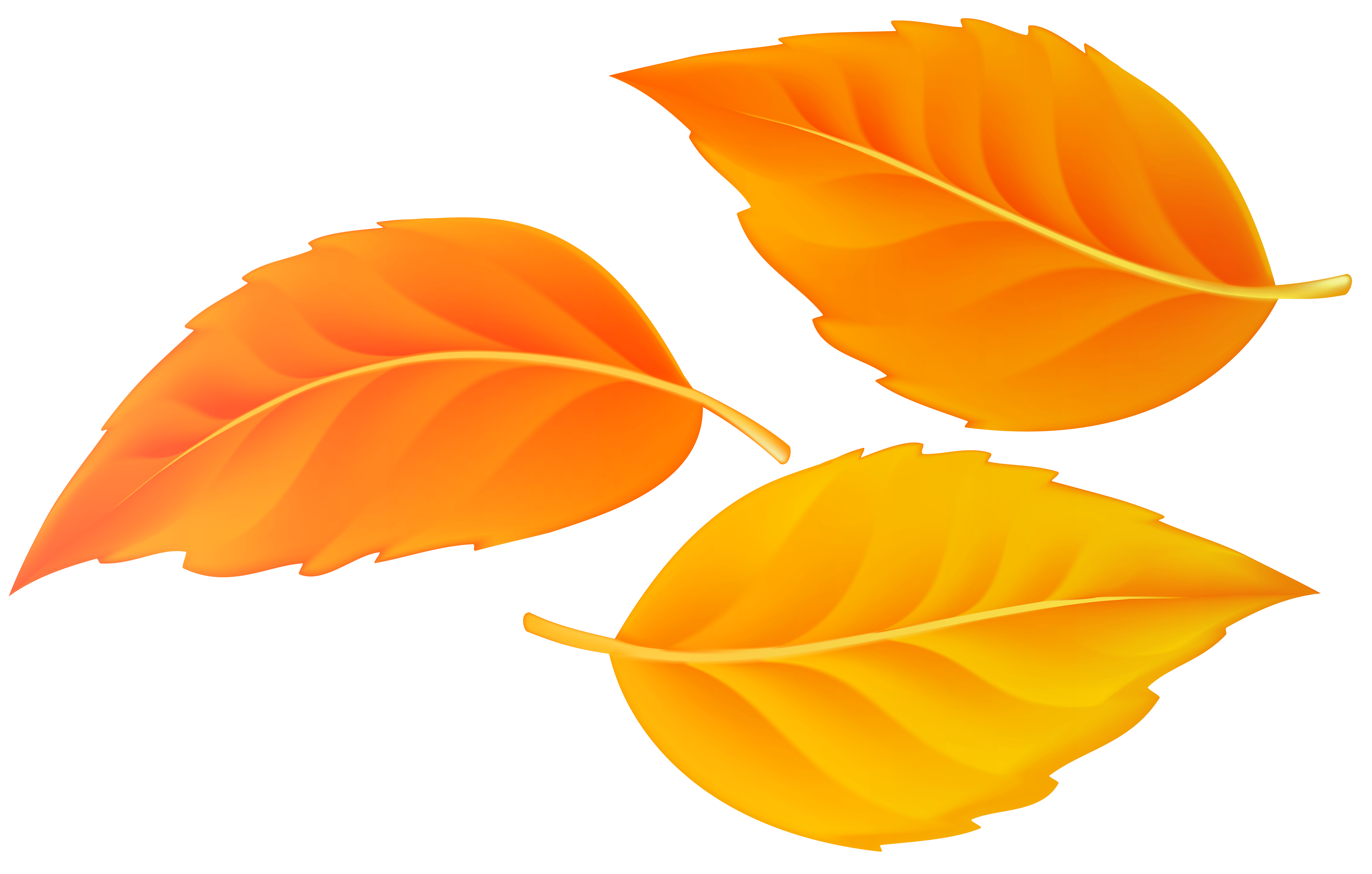 orange leaf clipart