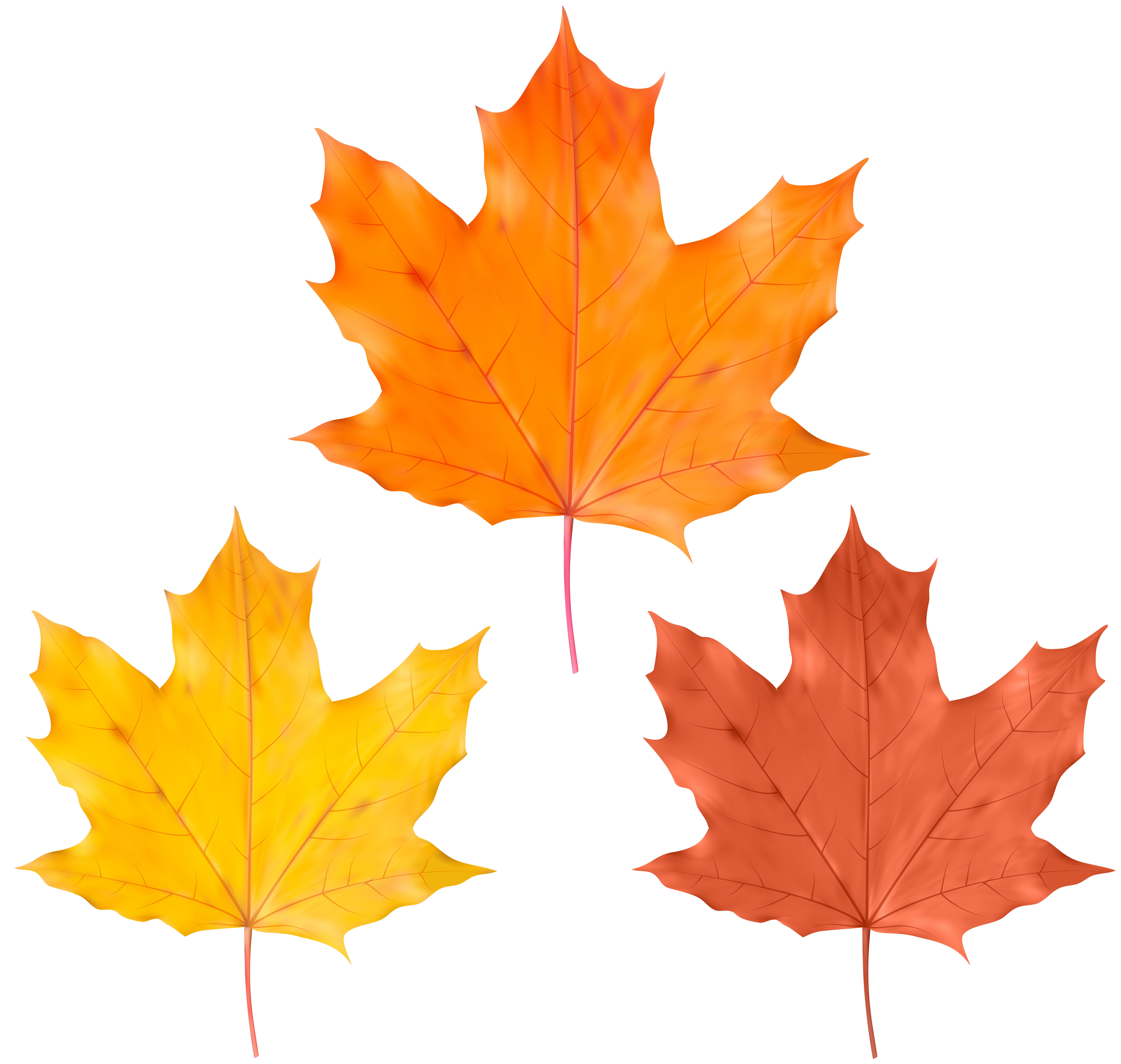 Maple Leaf PNG Clip Art - Best WEB Clipart