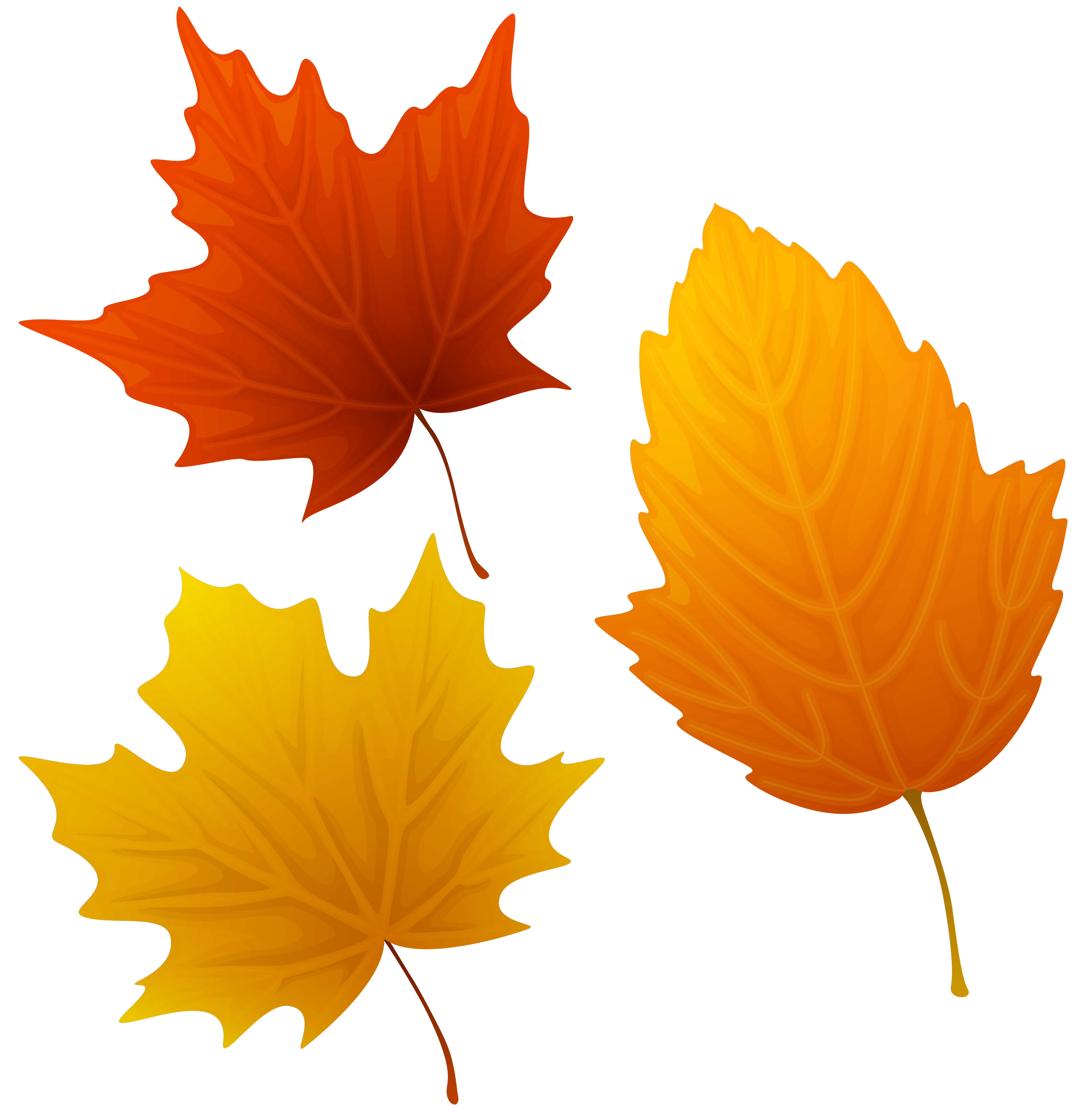 set of autumn leaves clipart png image gallery yopriceville