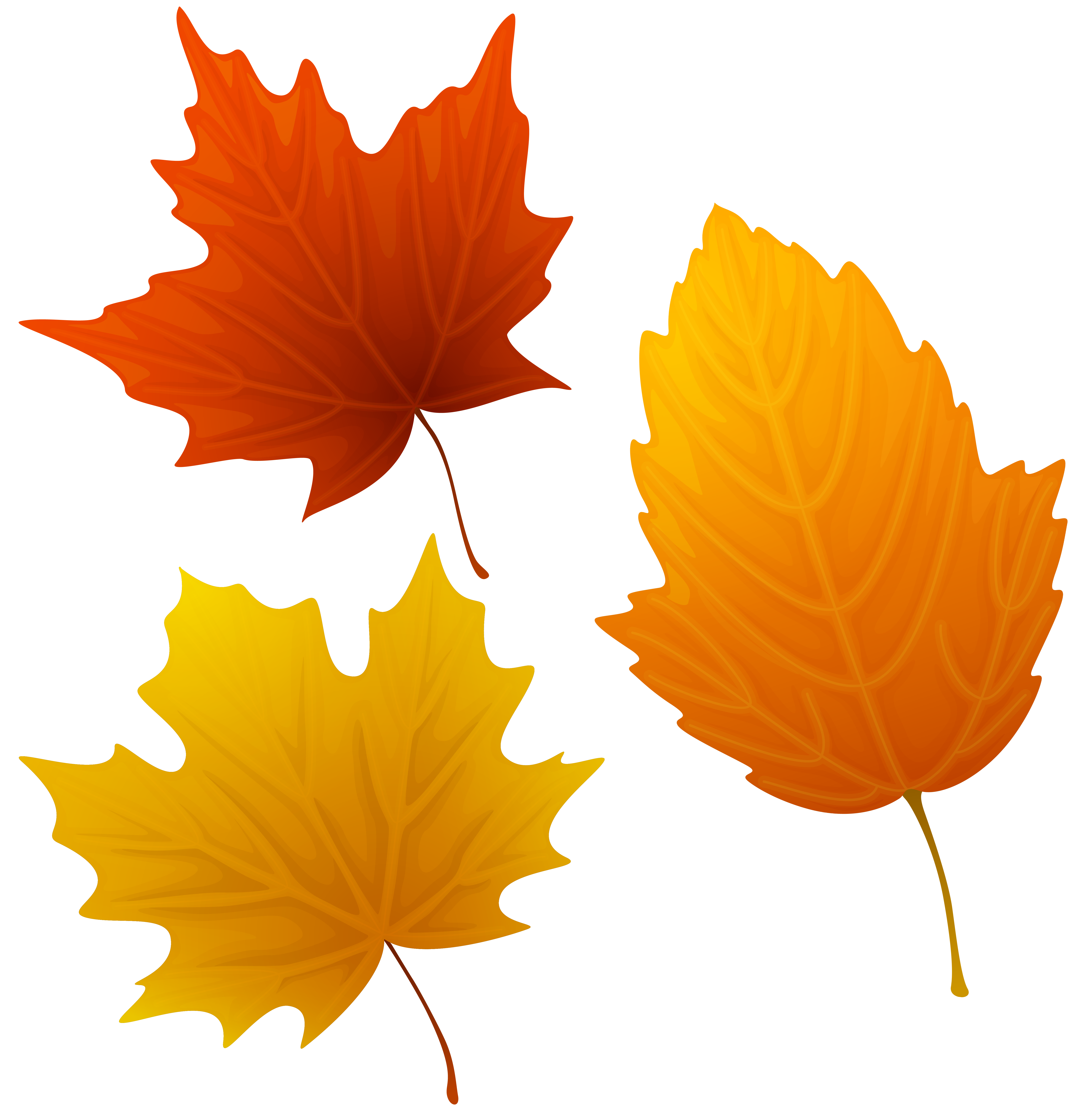 Set of Autumn Leaves Clipart PNG Image​  Gallery Yopriceville -  High-Quality Free Images and Transparent PNG Clipart