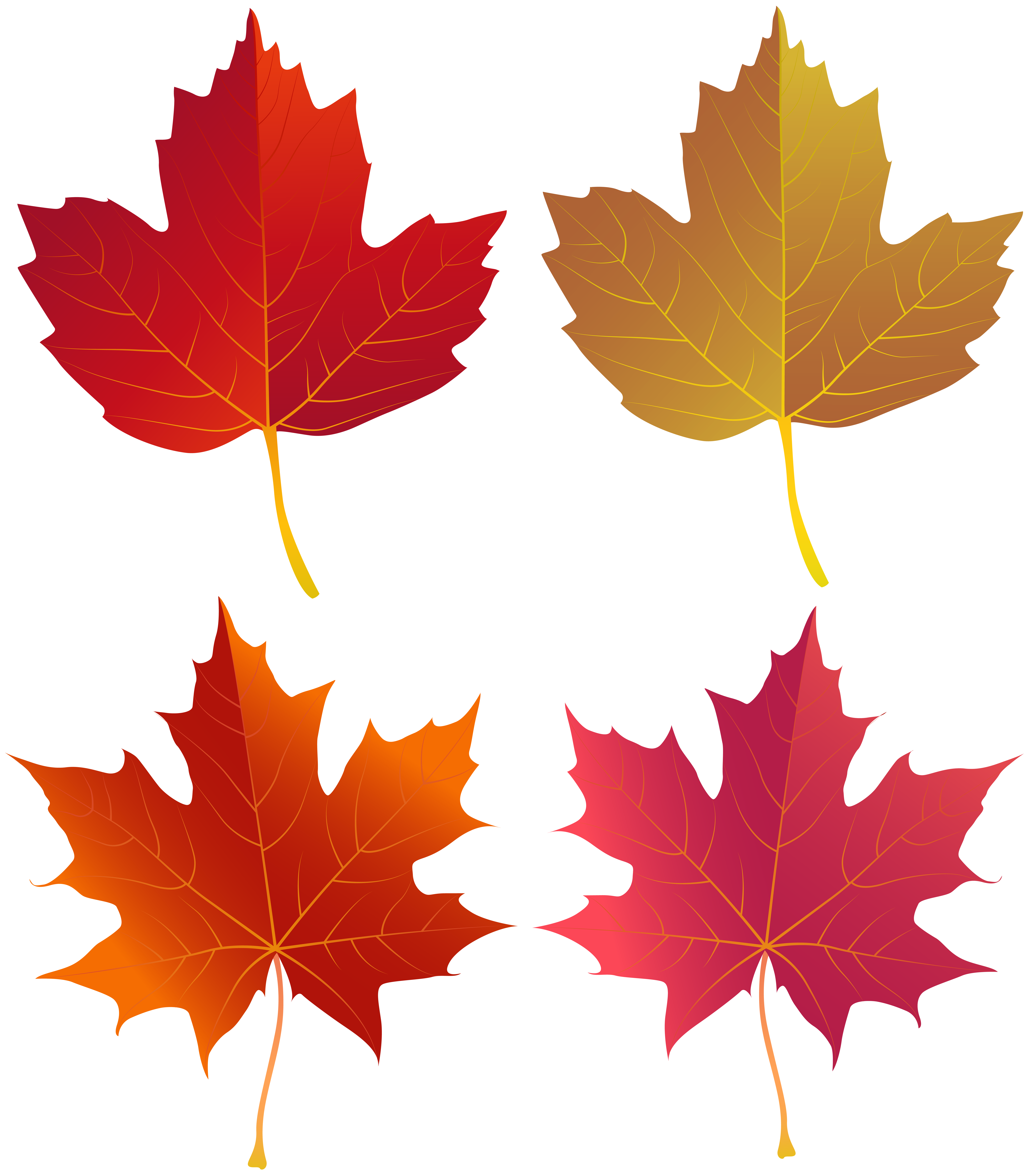 Set Of Autumn Leaves Png Clip Art Gallery Yopriceville High Quality Images And Transparent Png Free Clipart