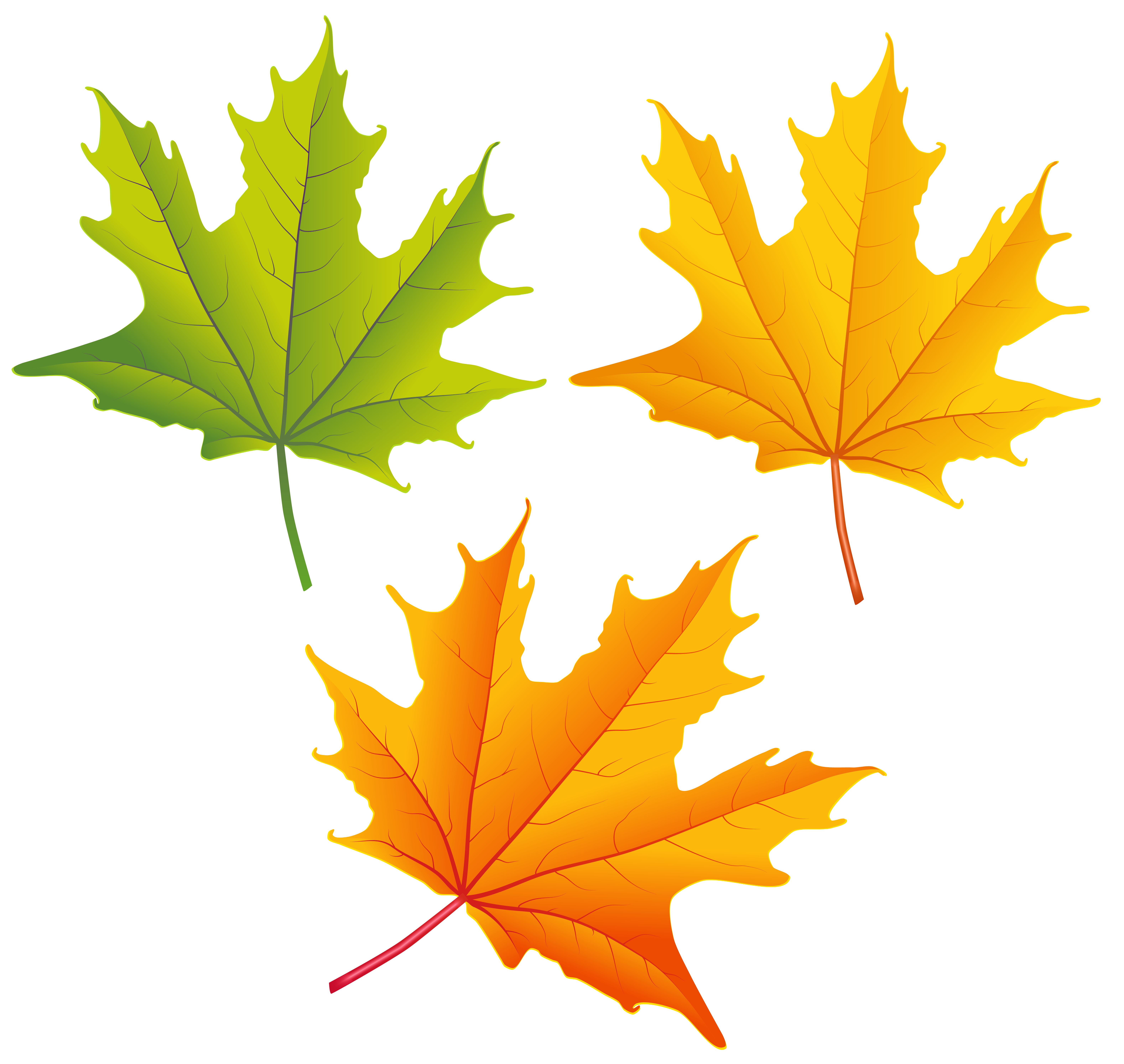 fall leaf clip art