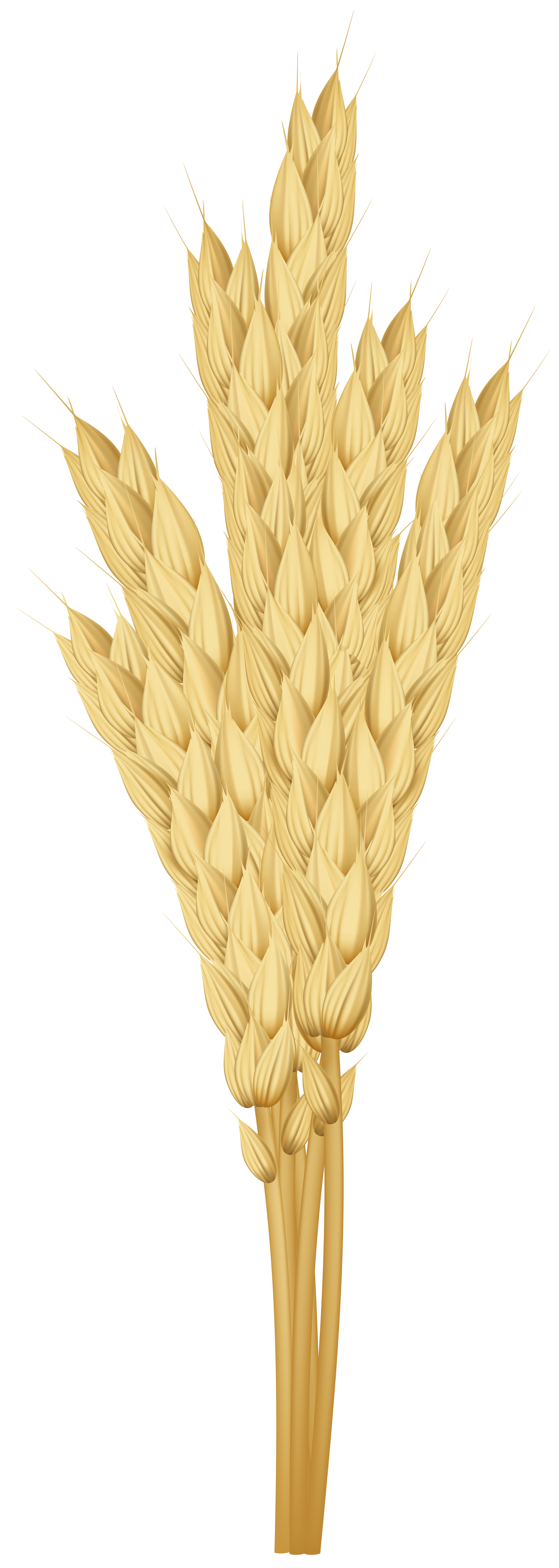 free wheat clipart
