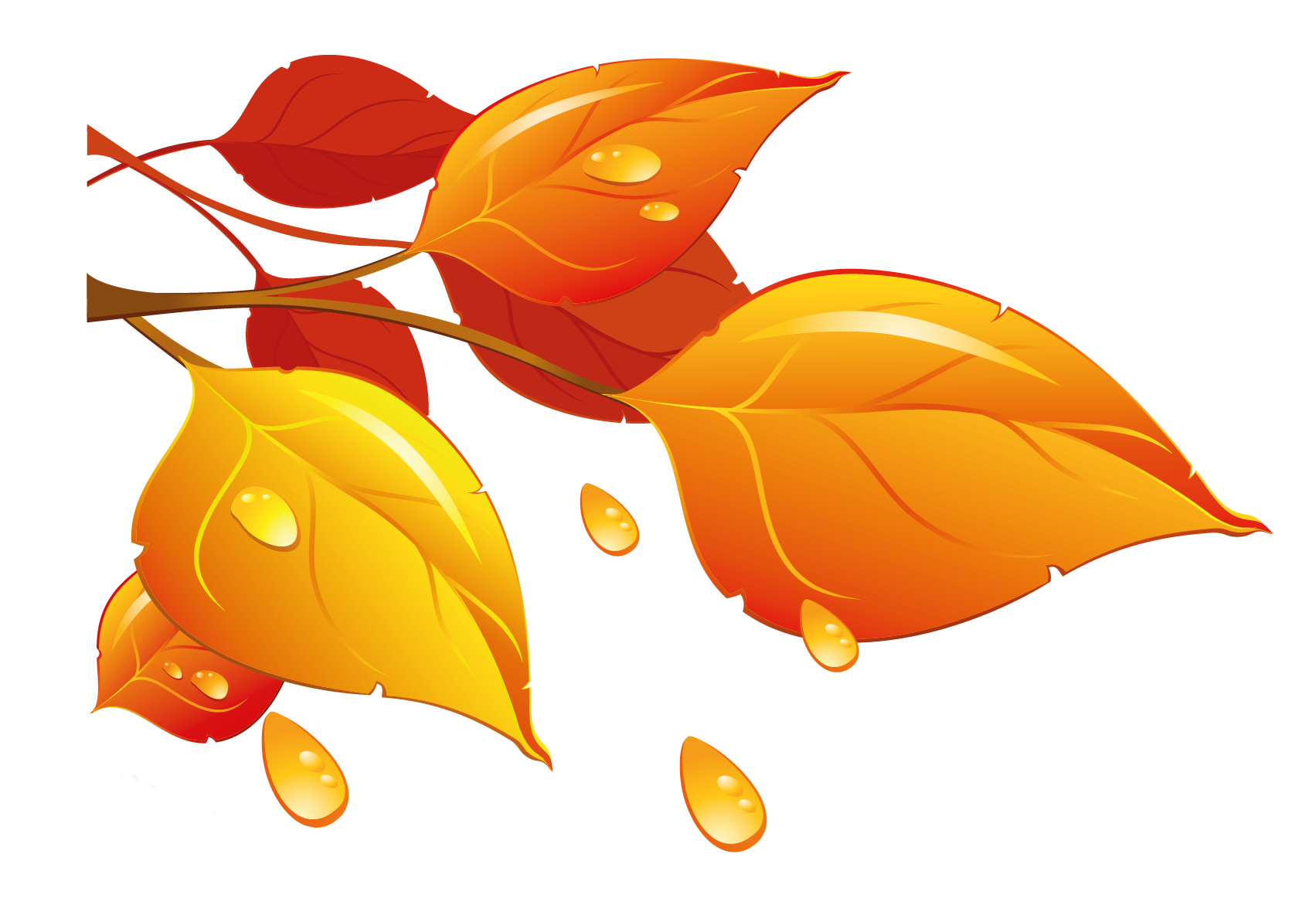 autumn leaves clipart transparent background