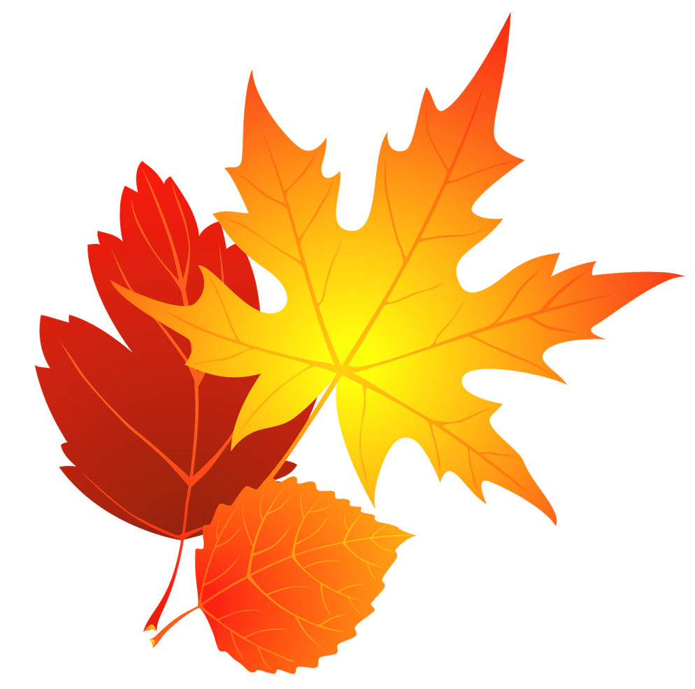 Image result for fall leaf clip art