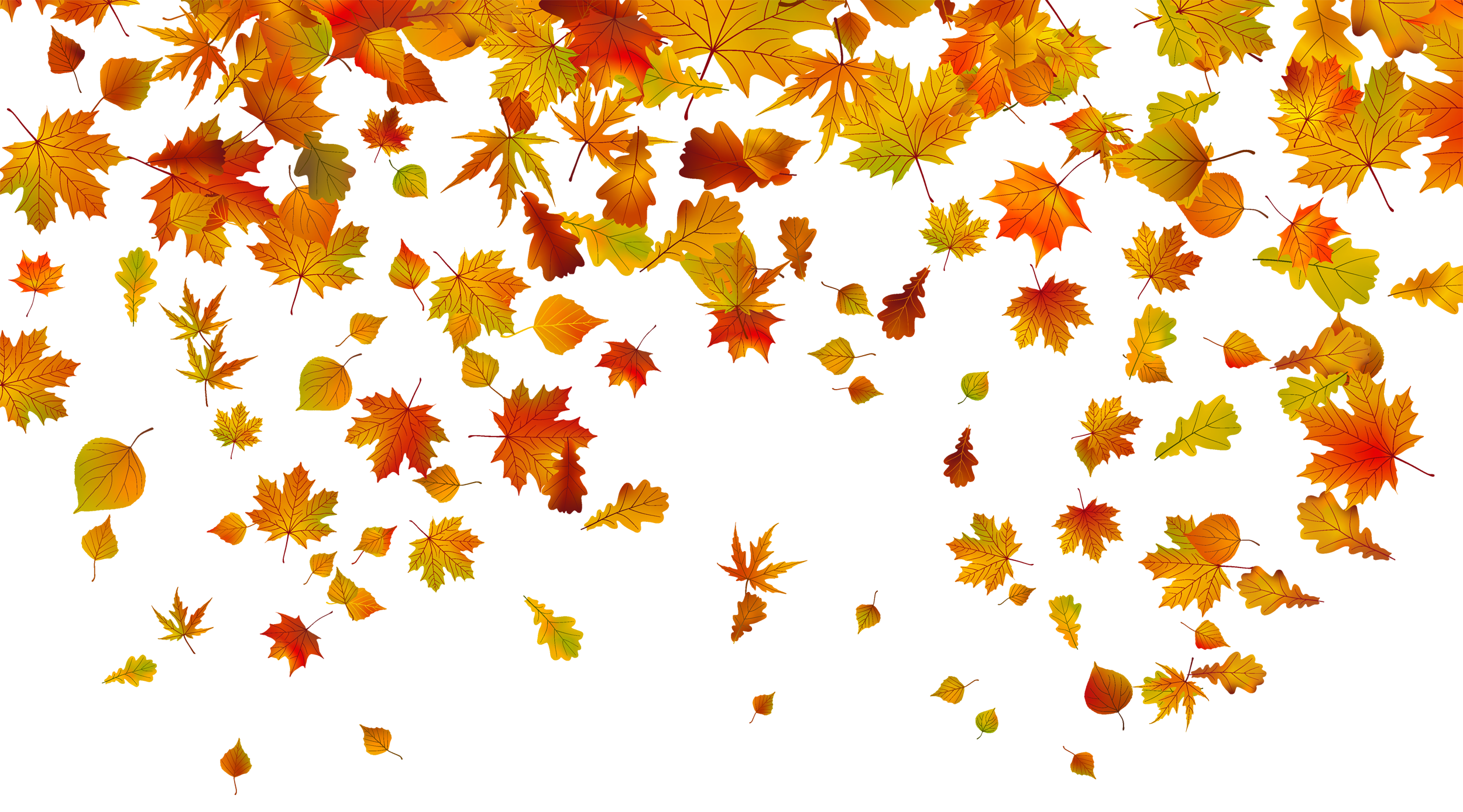 autumn leaves clipart transparent background