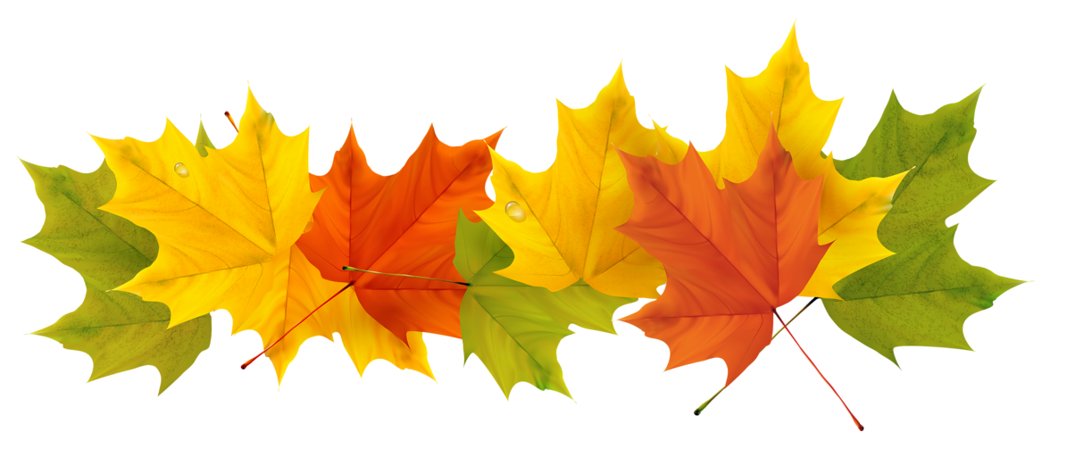 Afbeeldingsresultaat voor fall leaves transparent