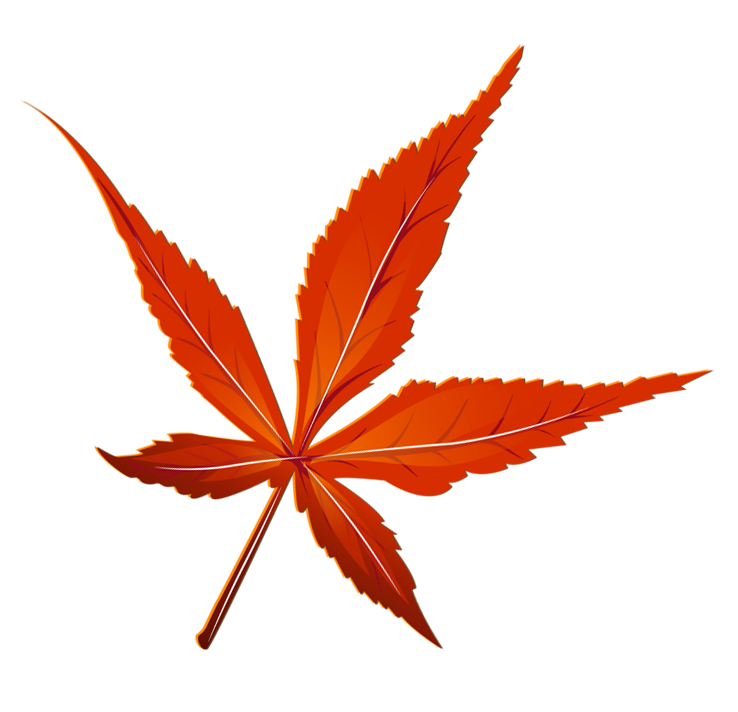 Transparent Red Leaf Picture | Gallery Yopriceville - High ...