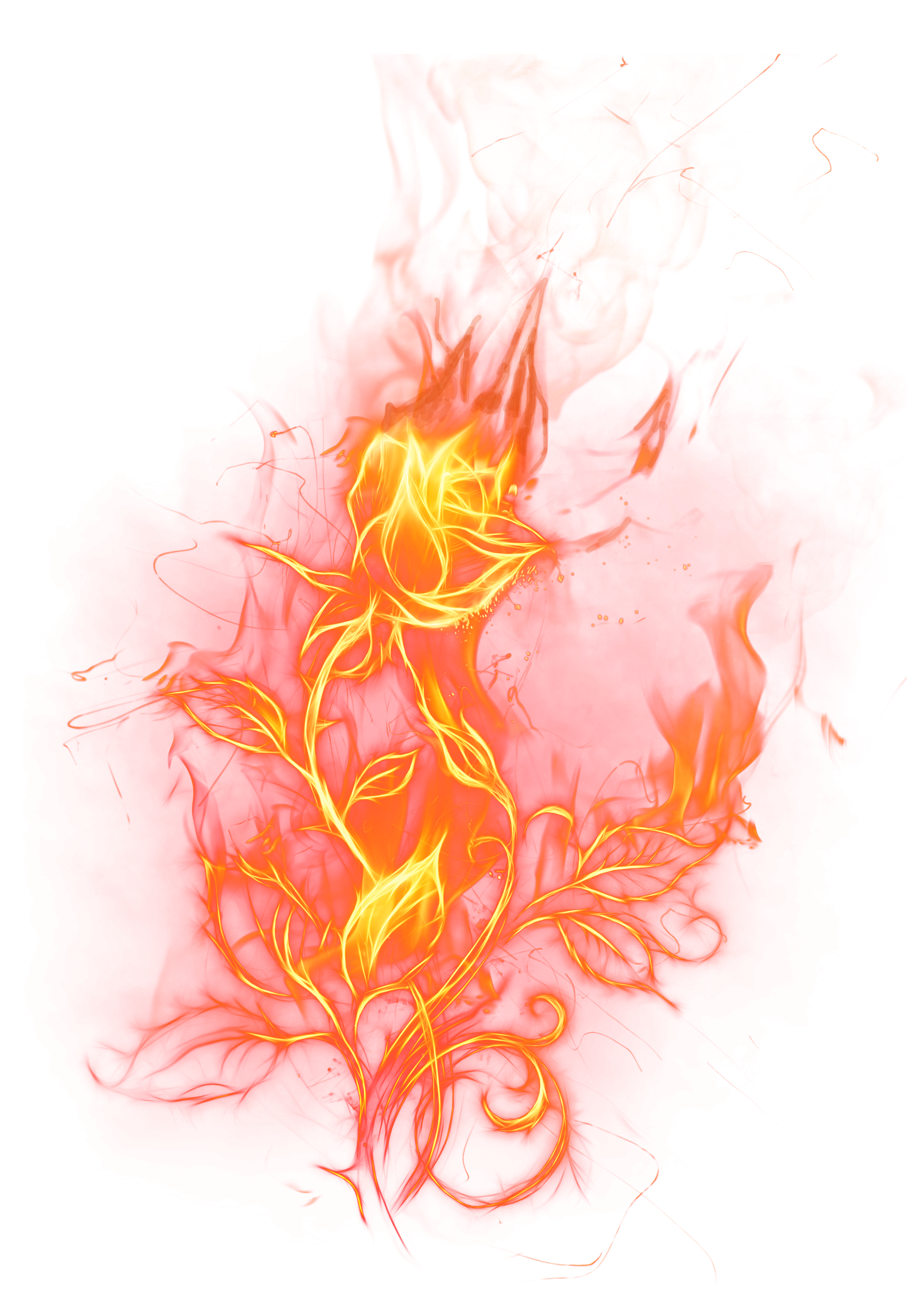 Transparent Fire Rose Png Clipart Picture Gallery Yopriceville