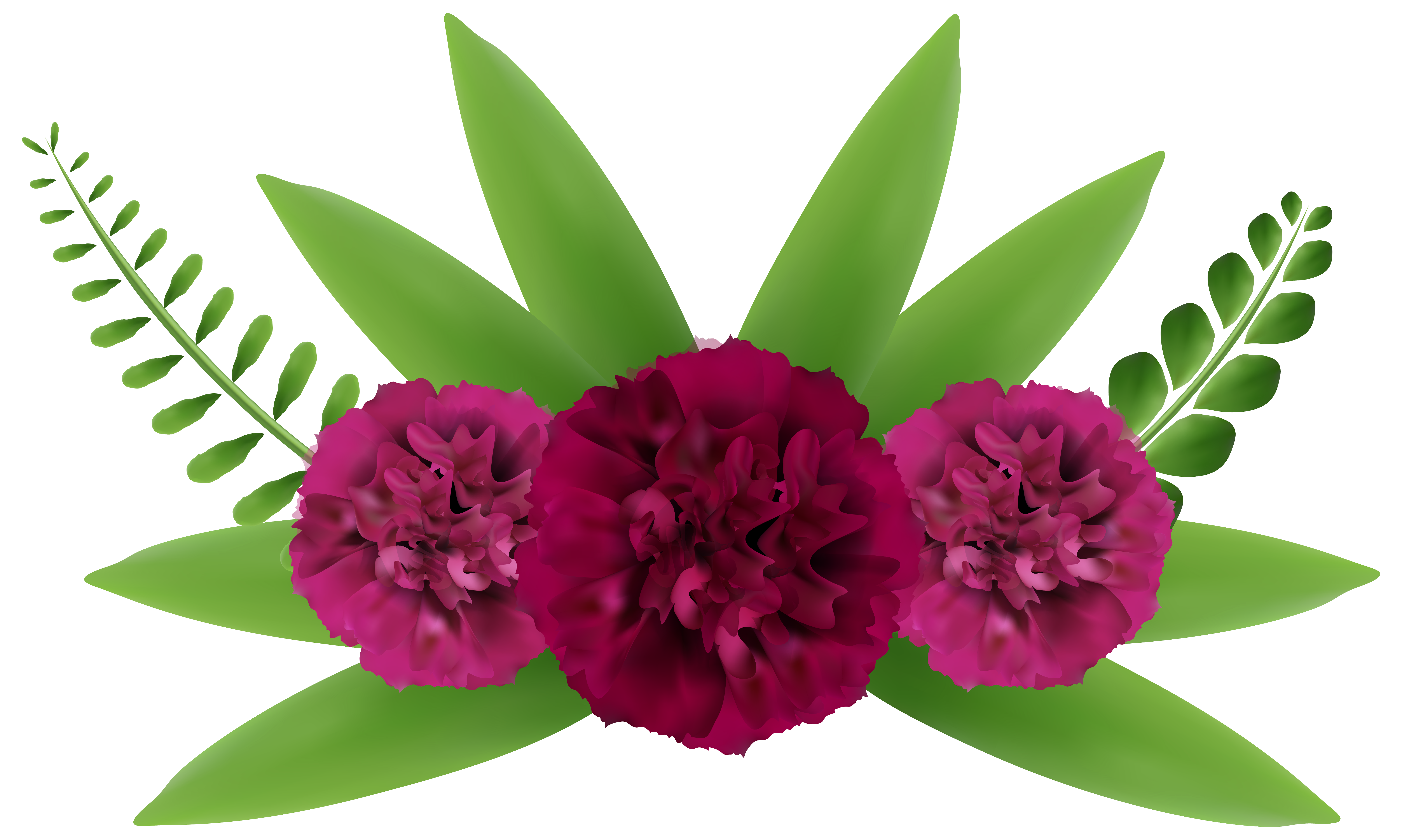 Beautiful Flowers Png Clip Art Image Gallery Yopriceville High Quality Images And Transparent Png Free Clipart,Why Is My Dog So Hyper Today