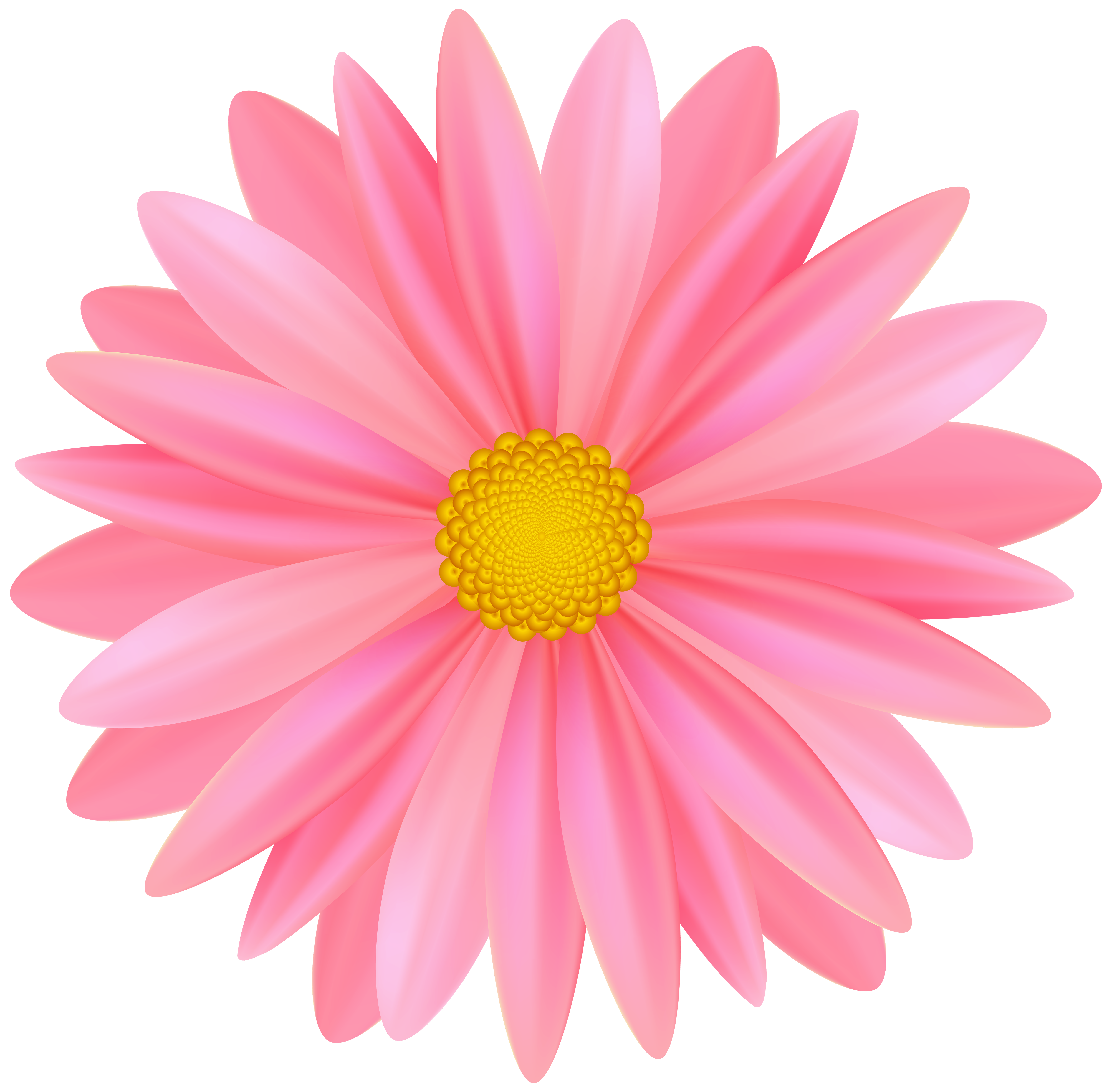 pink flower clip art png