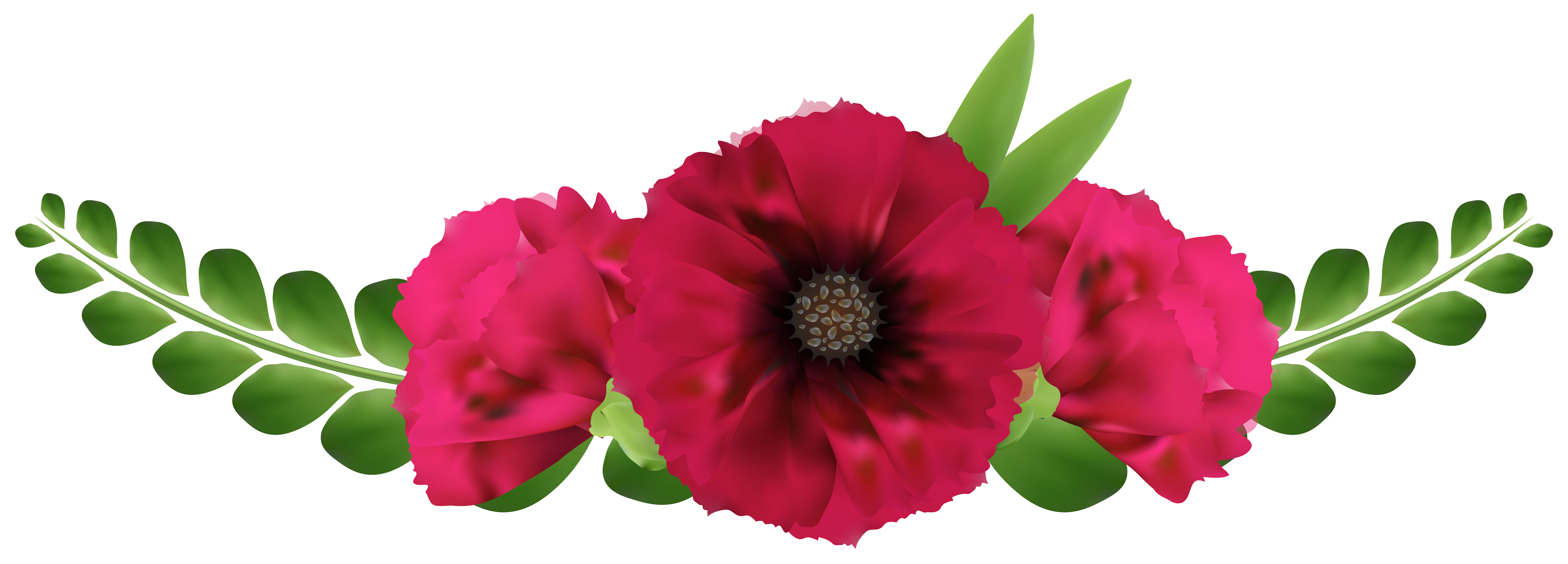 Image result for red flowers dividers PNG