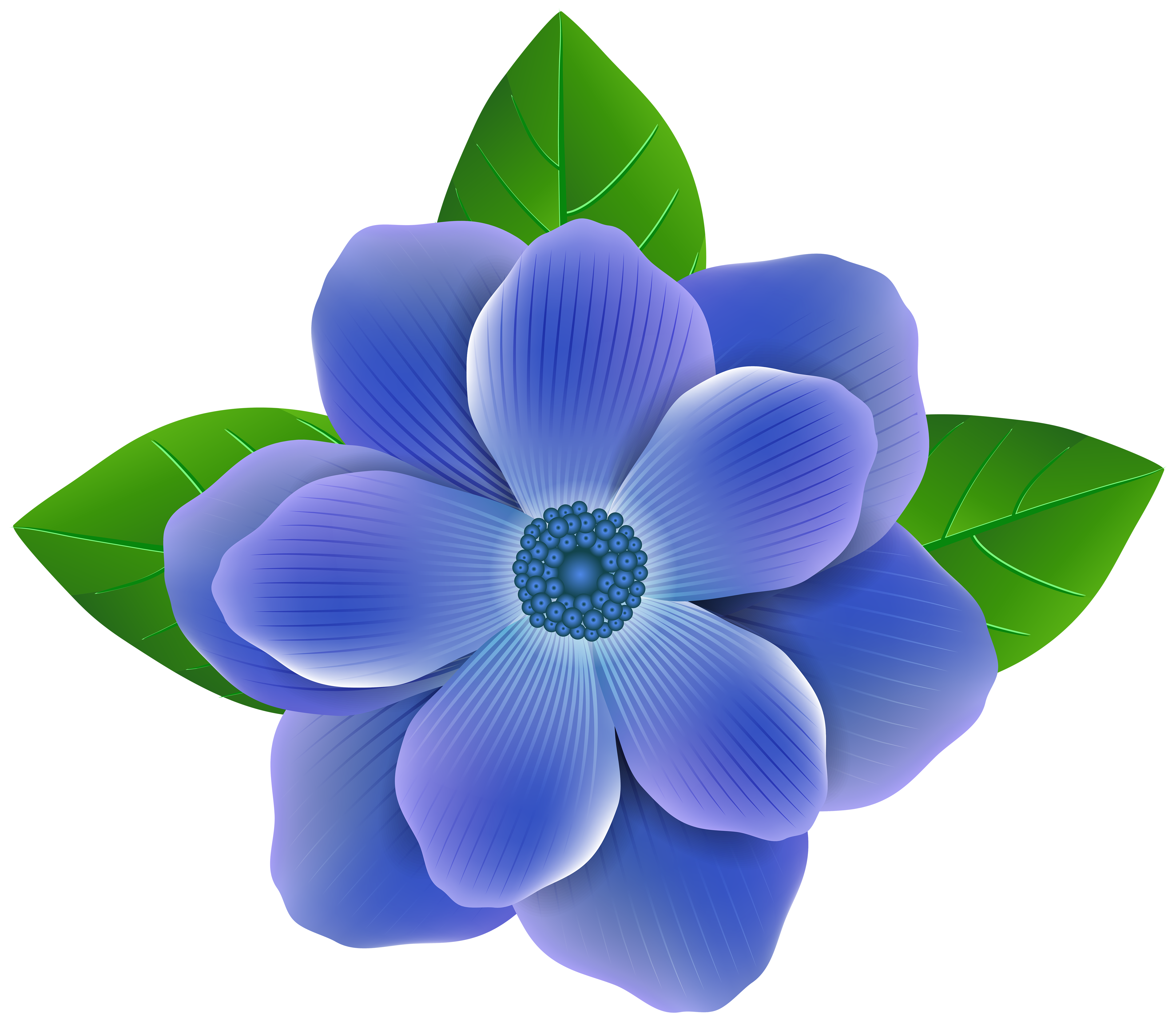 blue flower pictures art