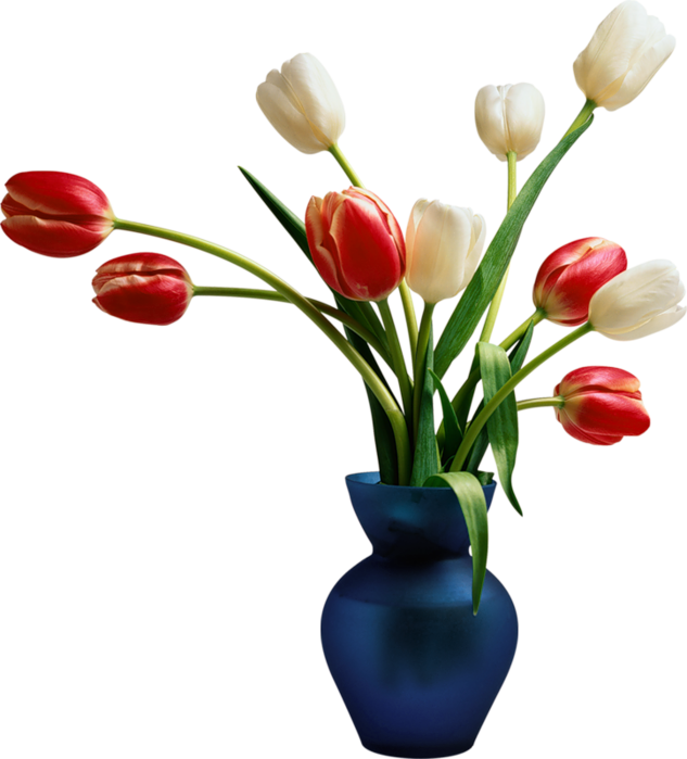 Paris: Transparent Flowers In Vase Clipart