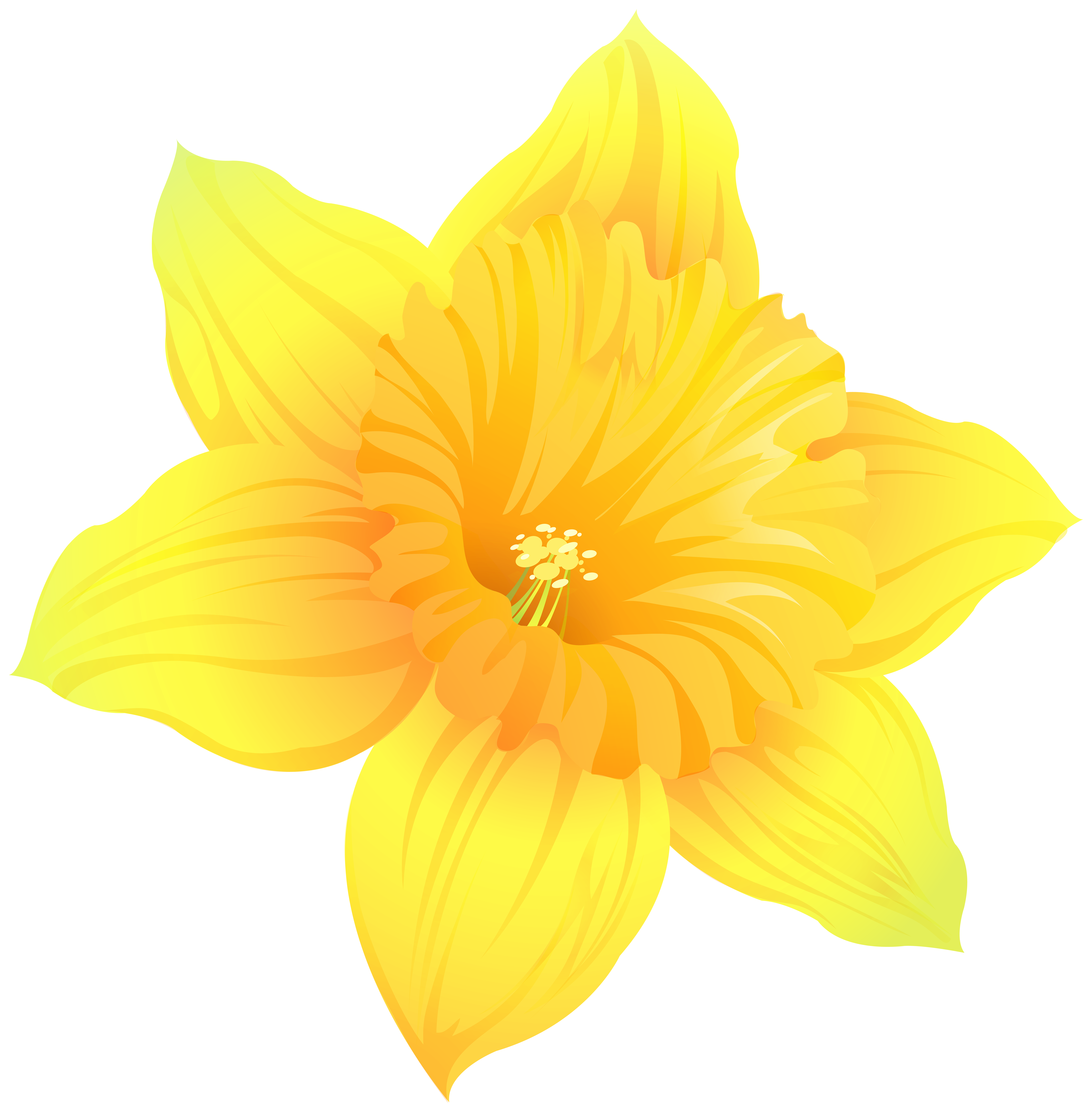 Daffodil Transparent PNG Clip Art Image | Gallery Yopriceville - High ...