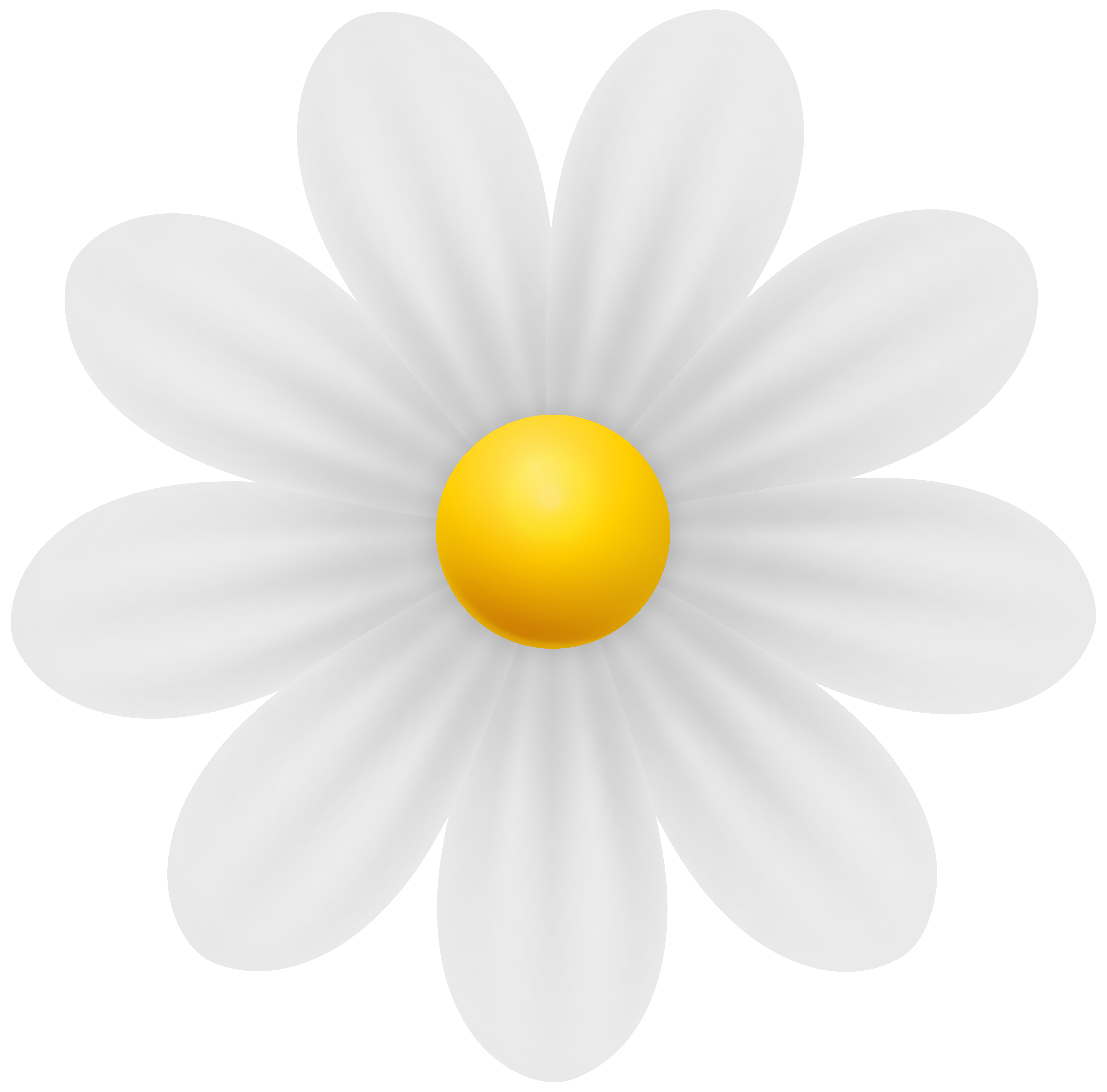 Daisy White Flower PNG Transparent Clipart​ | Gallery Yopriceville -  High-Quality Free Images and Transparent PNG Clipart