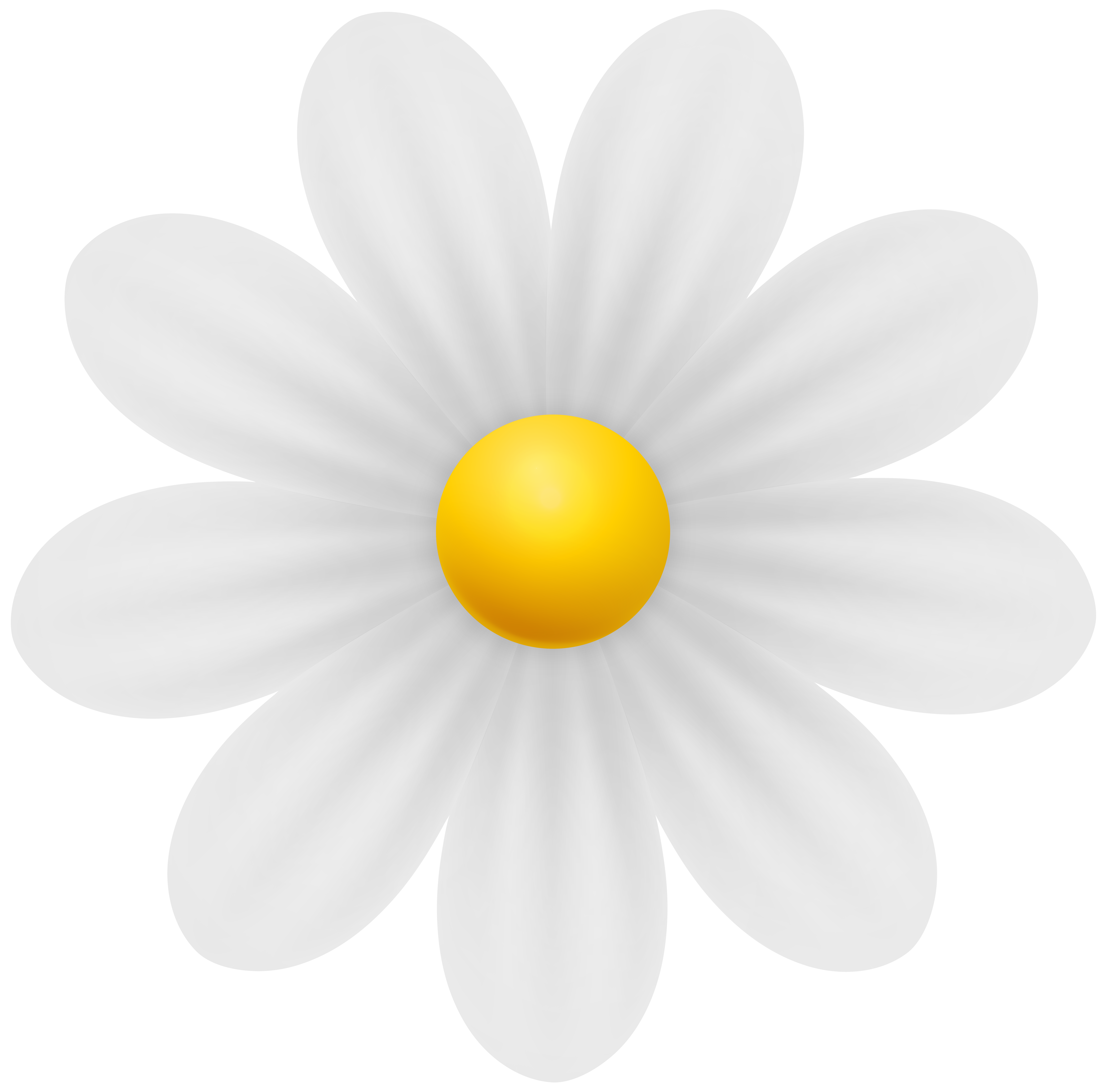 Daisy White Flower PNG Transparent Clipart | Gallery Yopriceville - High-Quality Free Images and Transparent PNG Clipart Daisy White Flower PNG Transparent Clipart | Gallery Yopriceville - High-Quality Free Images and Transparent PNG Clipart
