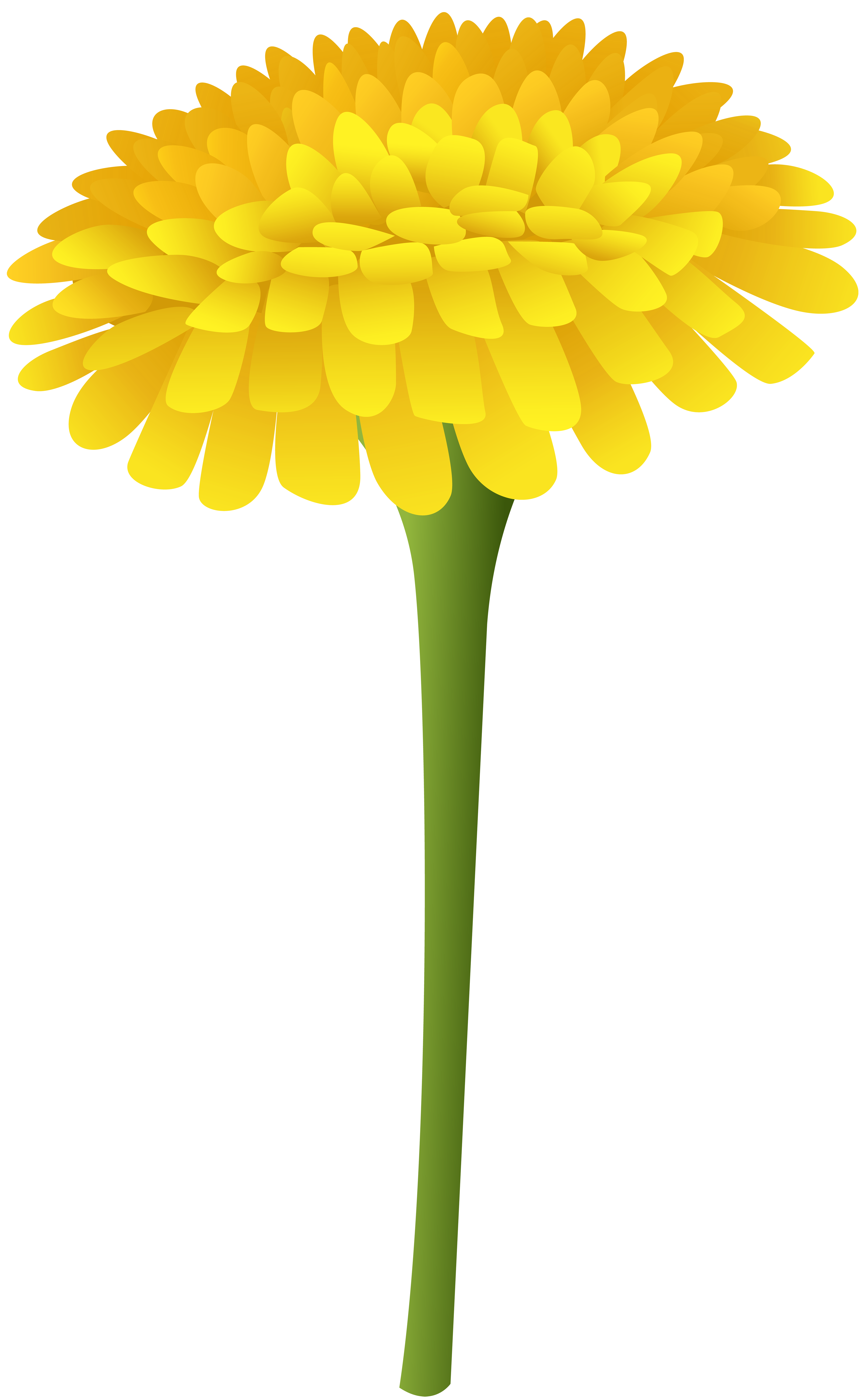 dandelion png clip art image gallery yopriceville high quality images and transparent png free clipart gallery yopriceville